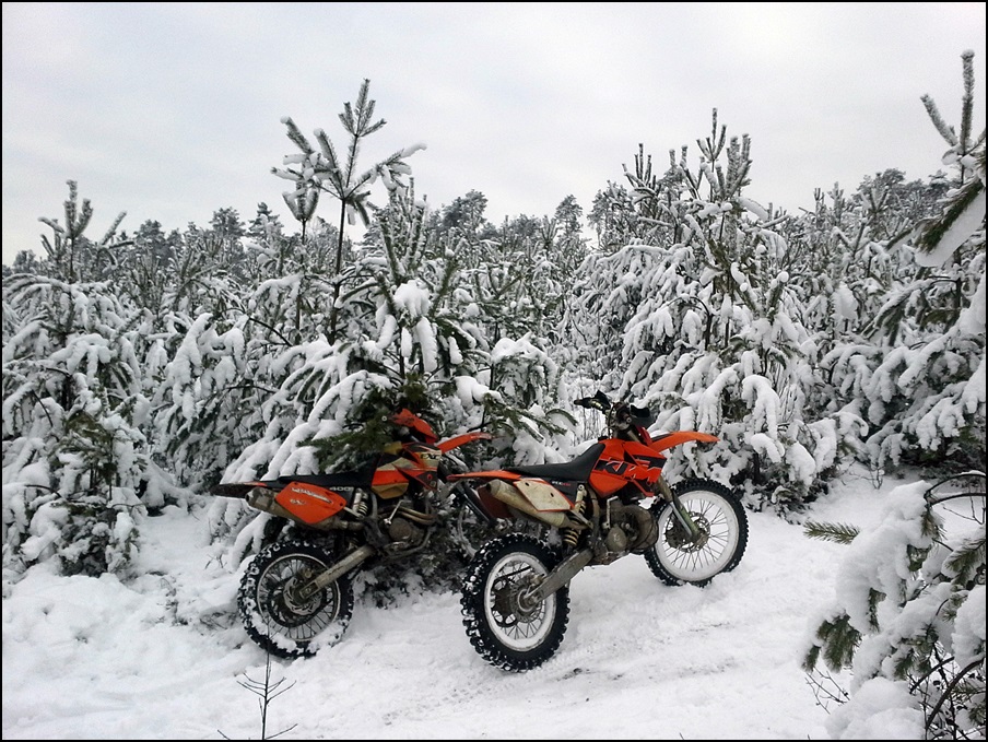 Photo 2772343