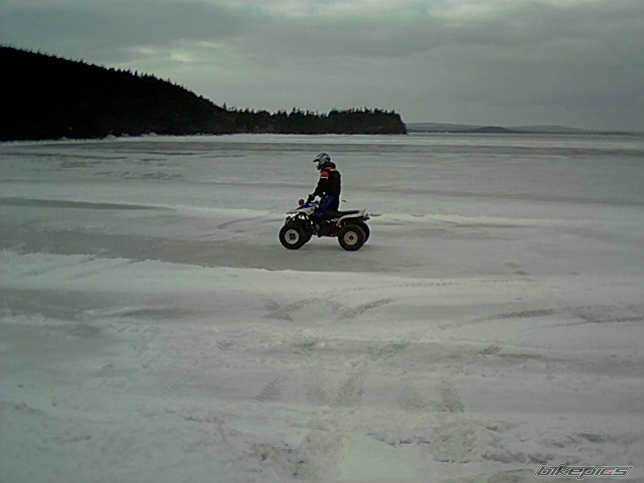 Photo 277235