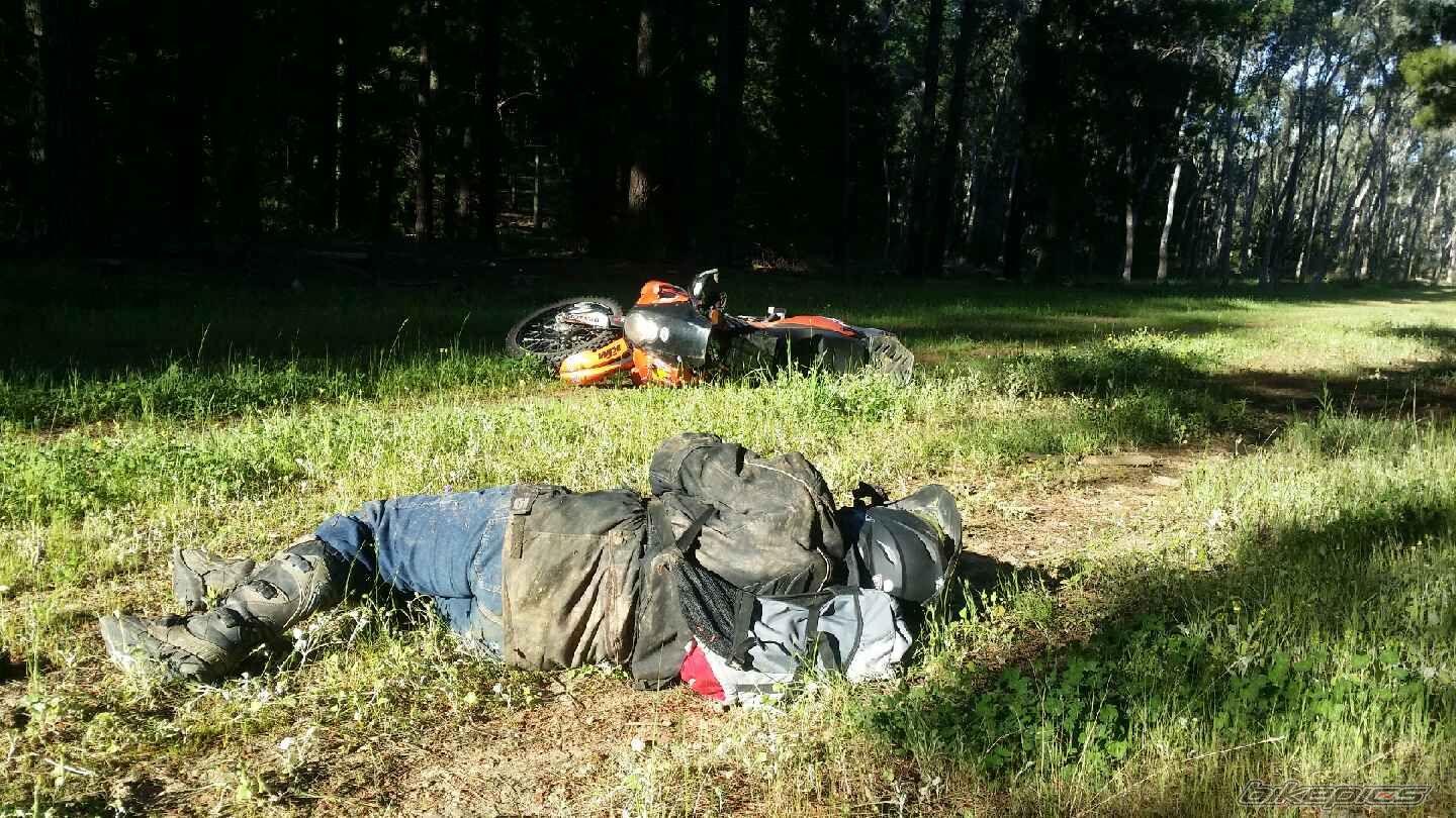 Photo 2772377