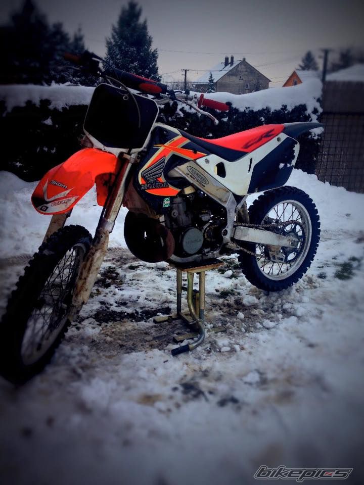 Photo 2772395
