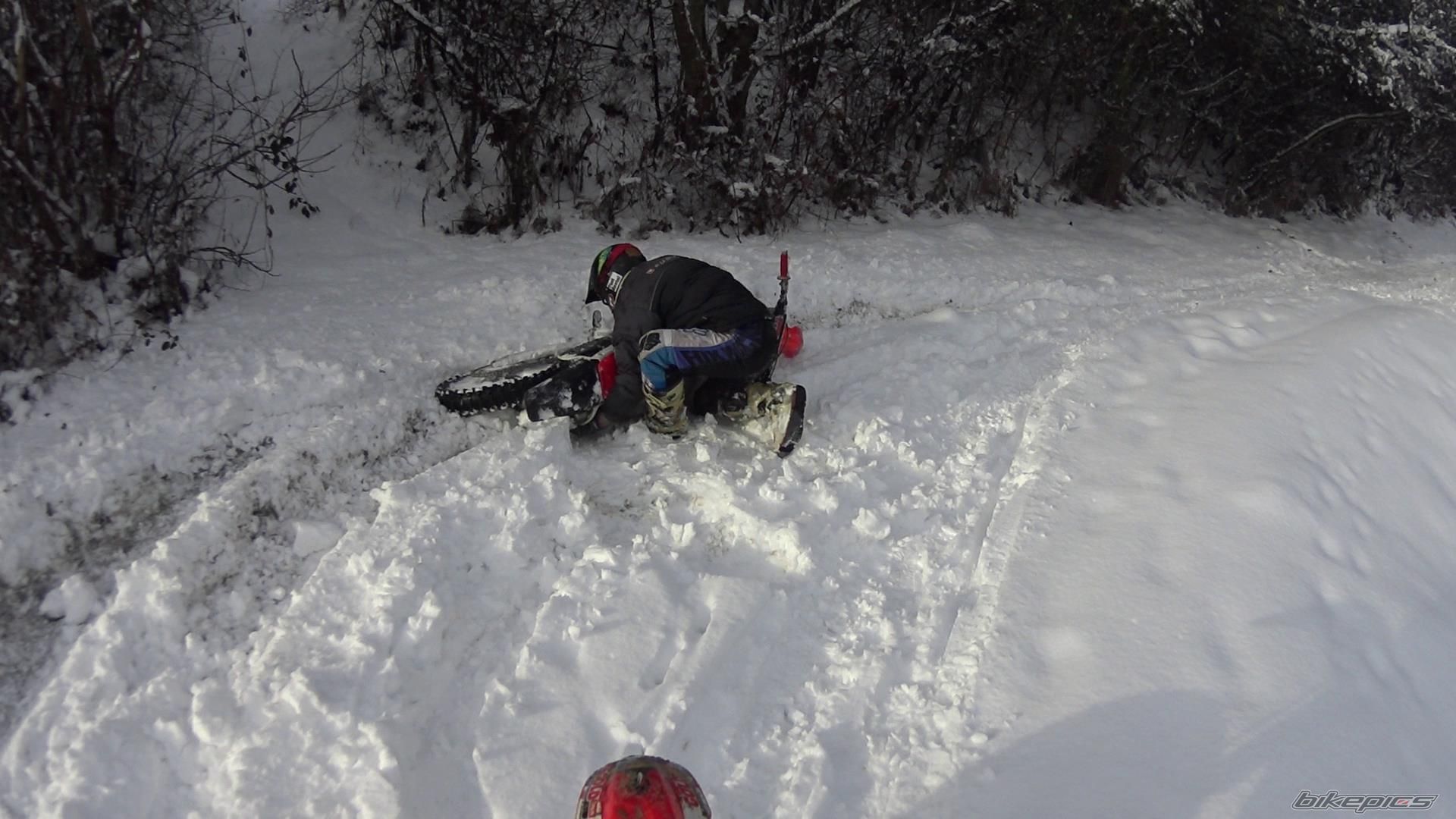 Photo 2772402