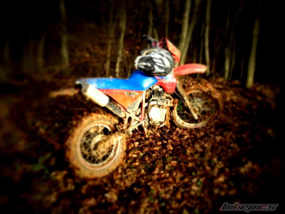 Photo 2772406