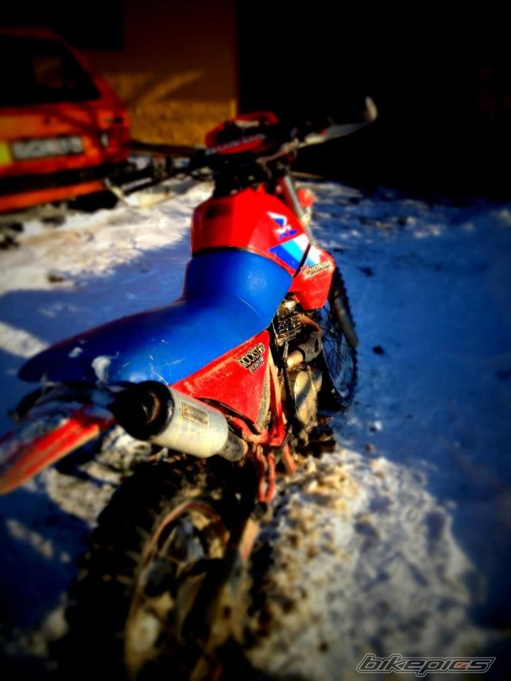 Photo 2772407