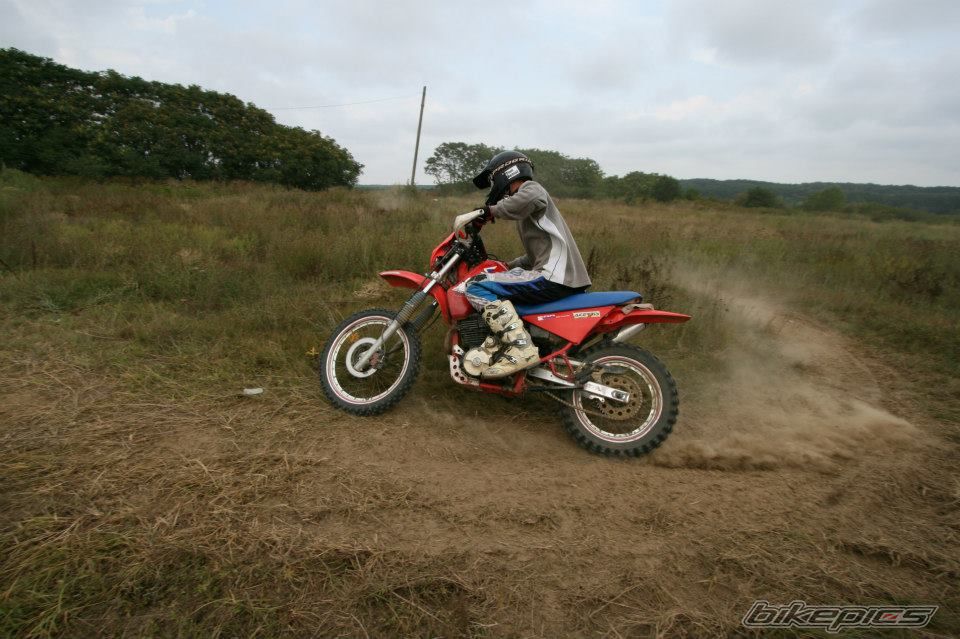 Photo 2772410