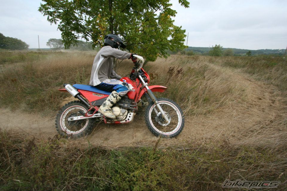 Photo 2772413