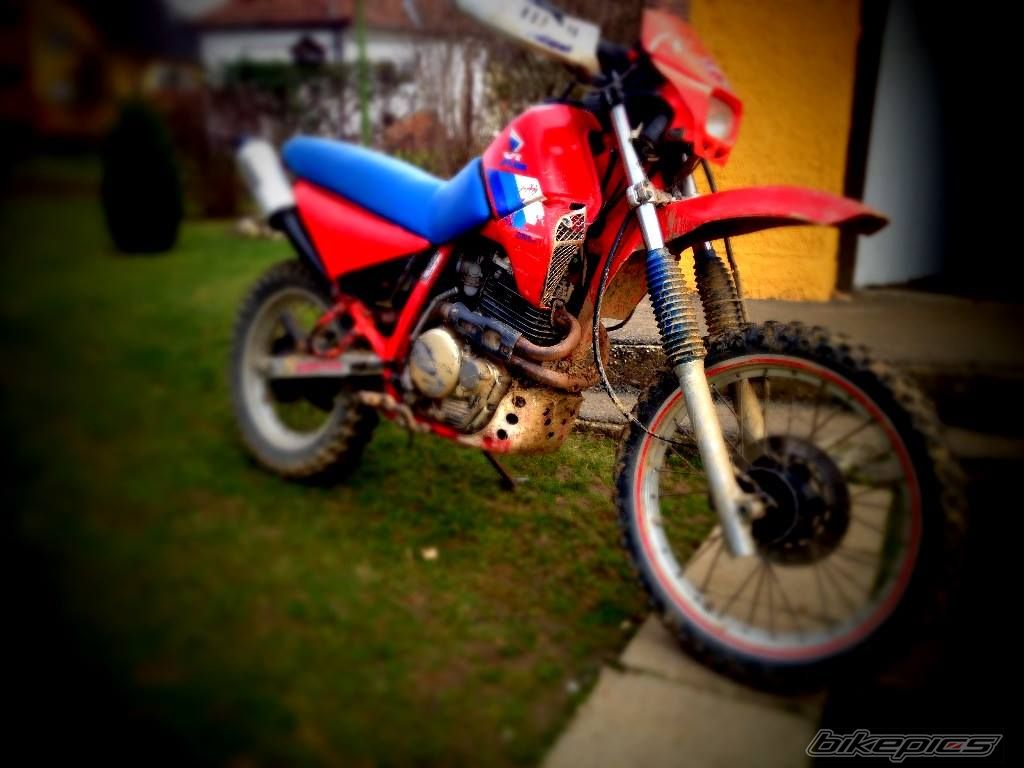 Photo 2772417