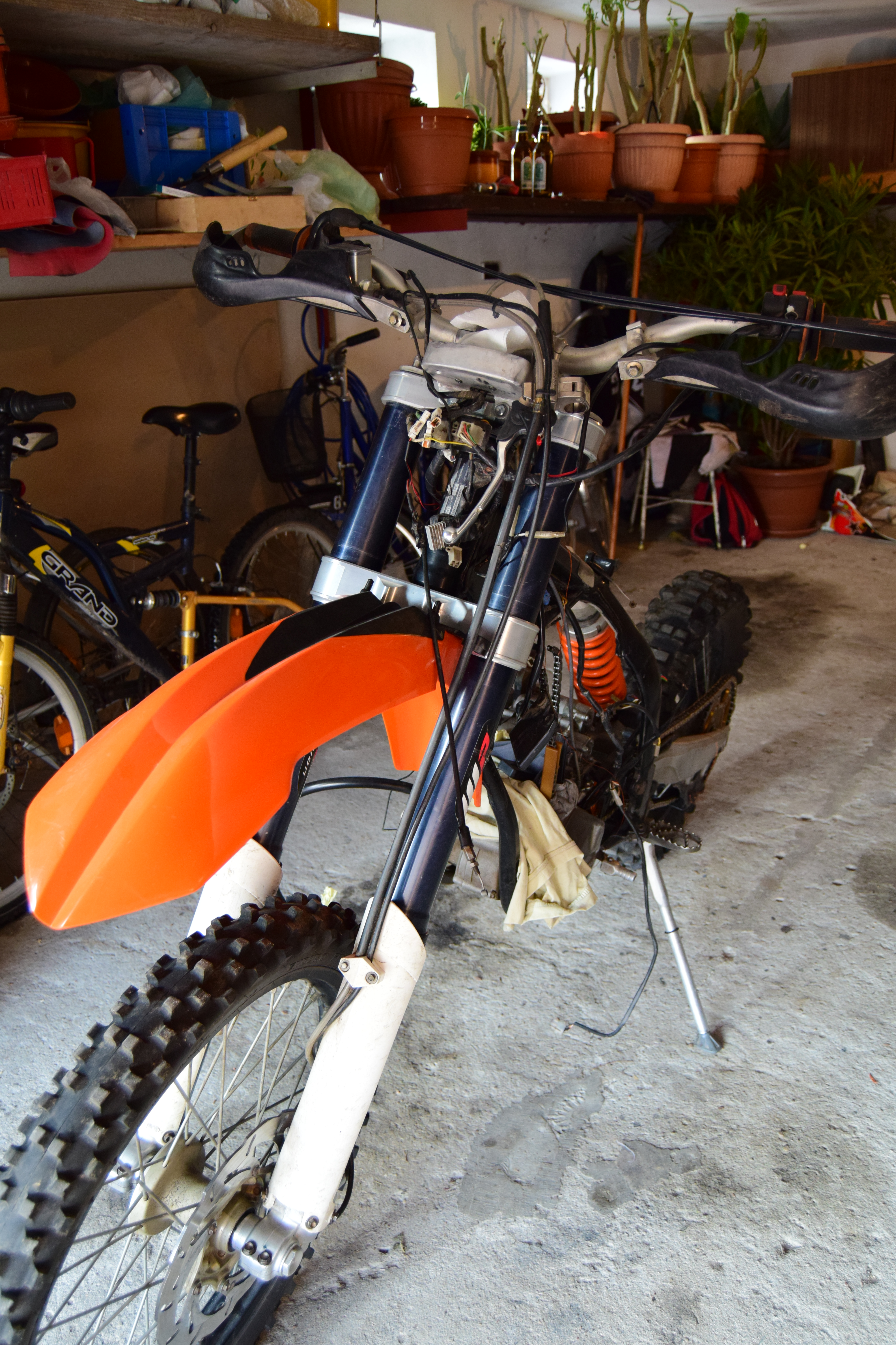 Photo 2772482