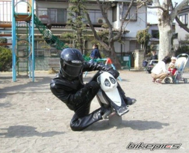Photo 2772521