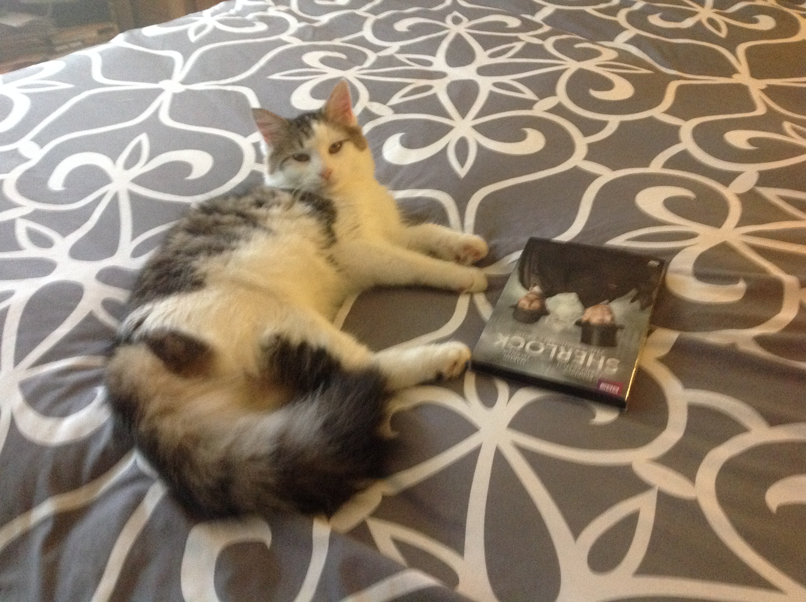 Photo 2772537