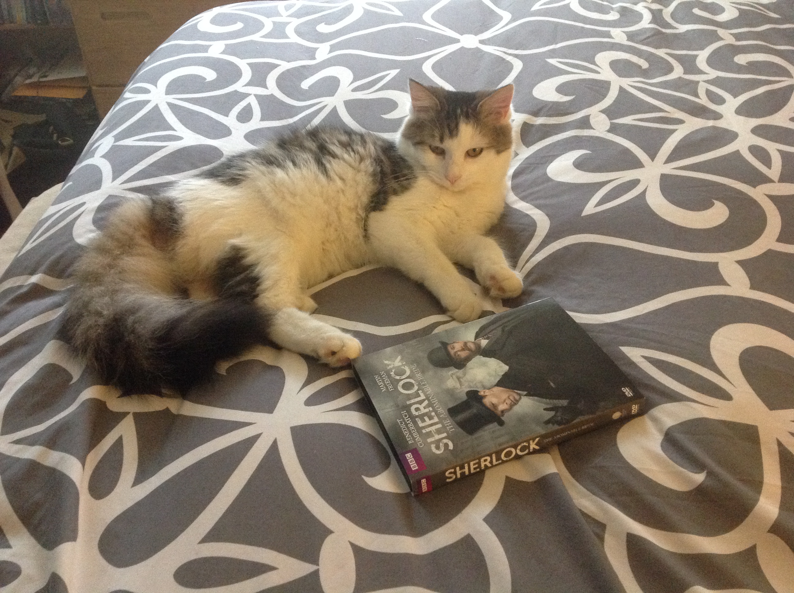 Photo 2772538