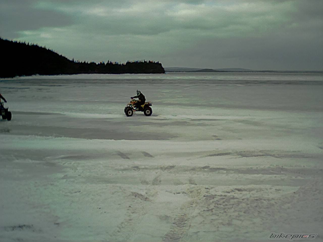 Photo 277254