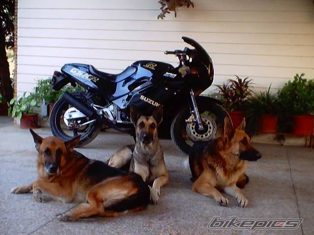 Bike Photo 277257
