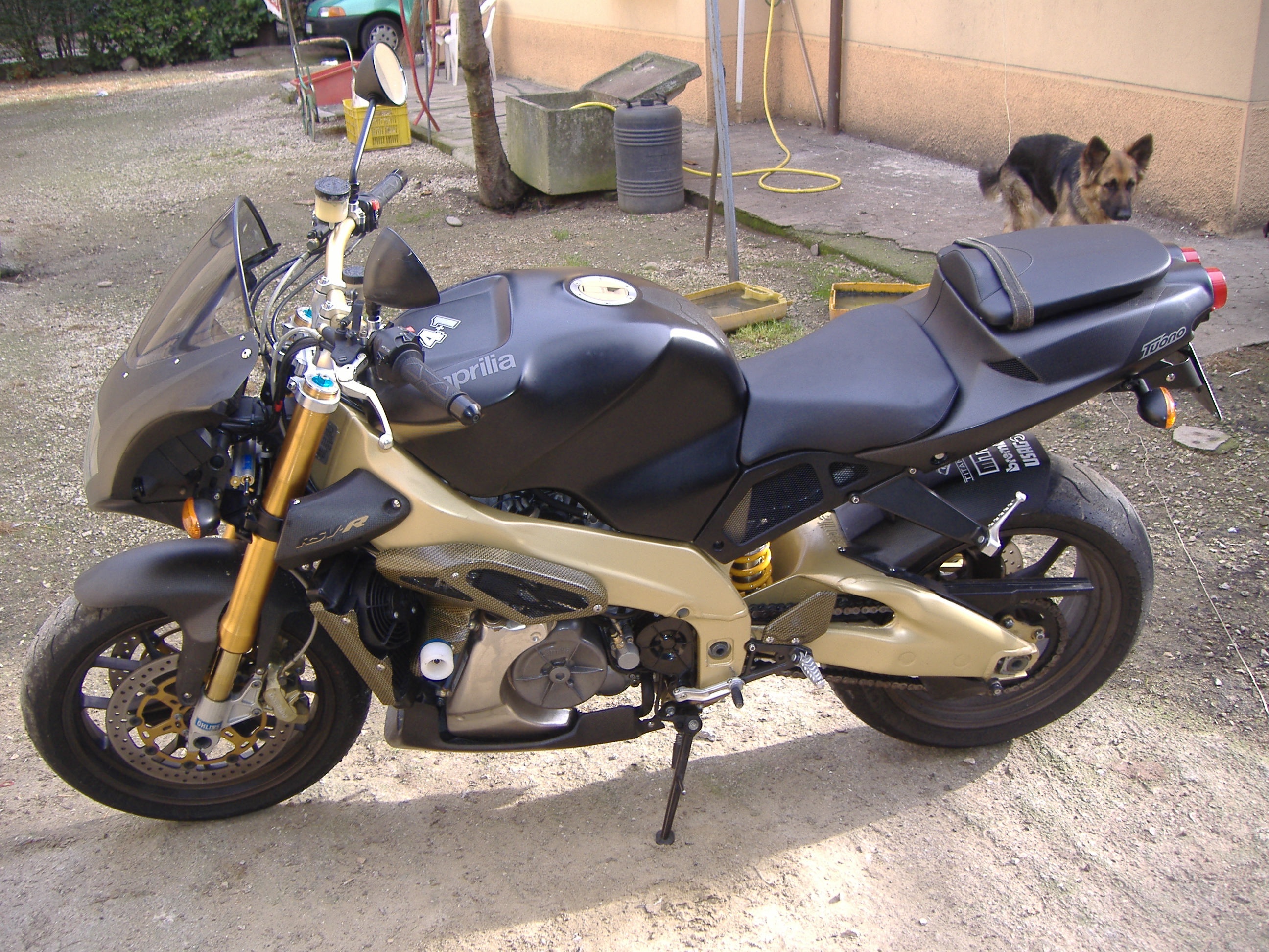 Photo 2772594