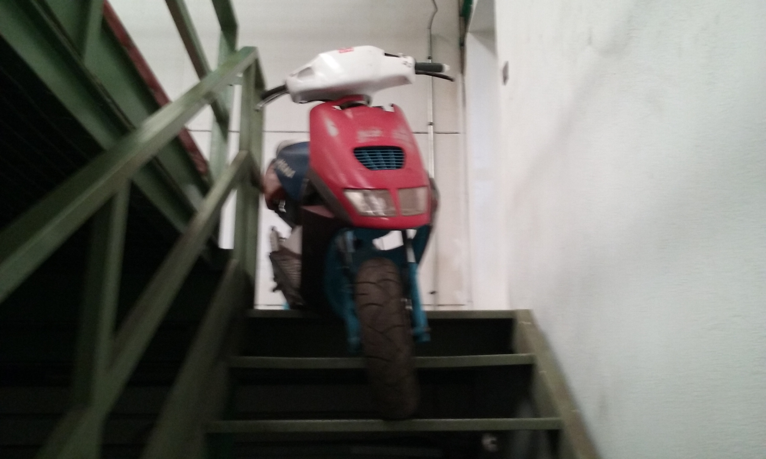 Photo 2772613