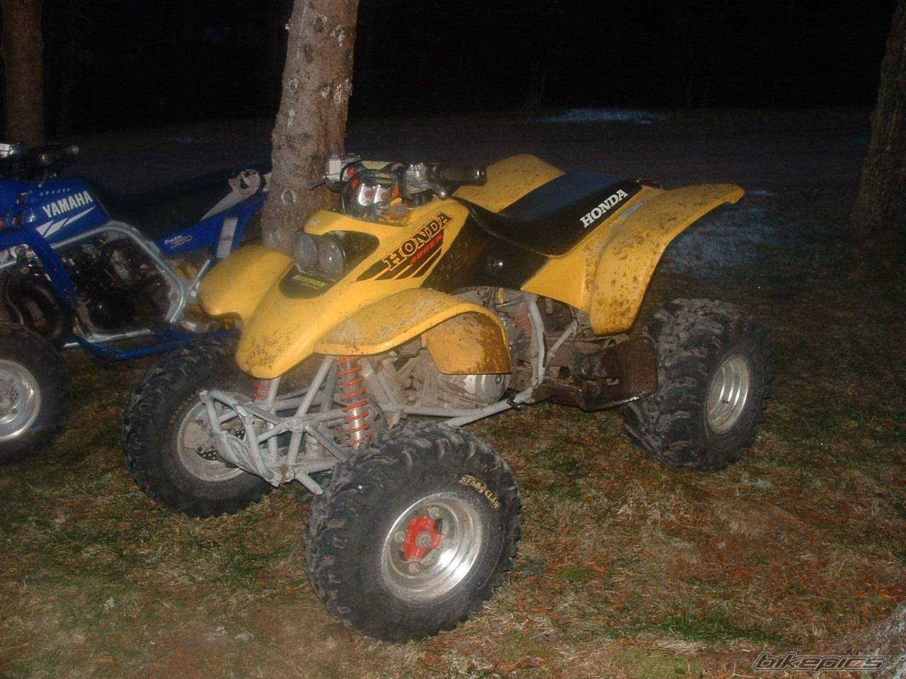 Photo 277269