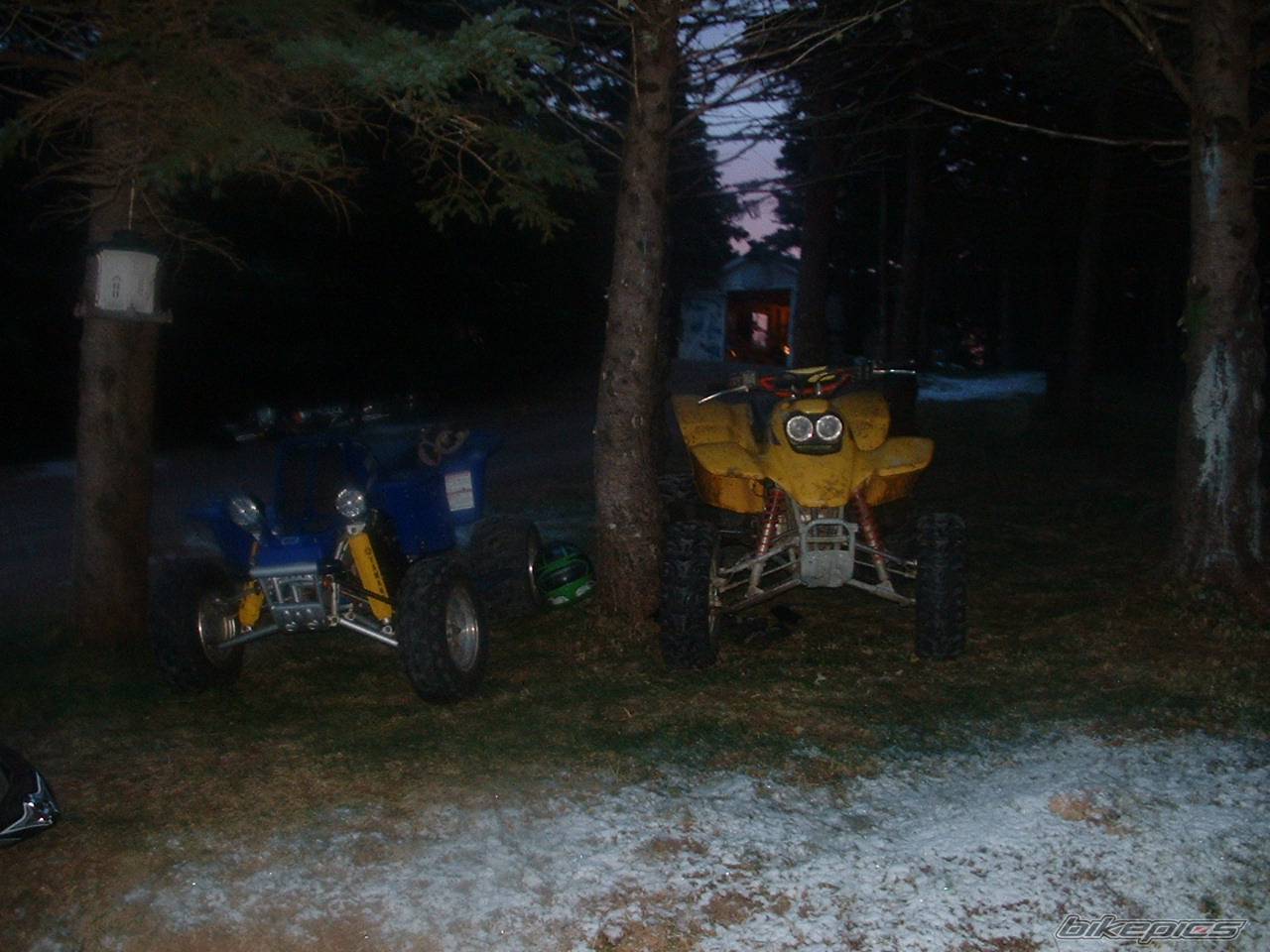 Photo 277270