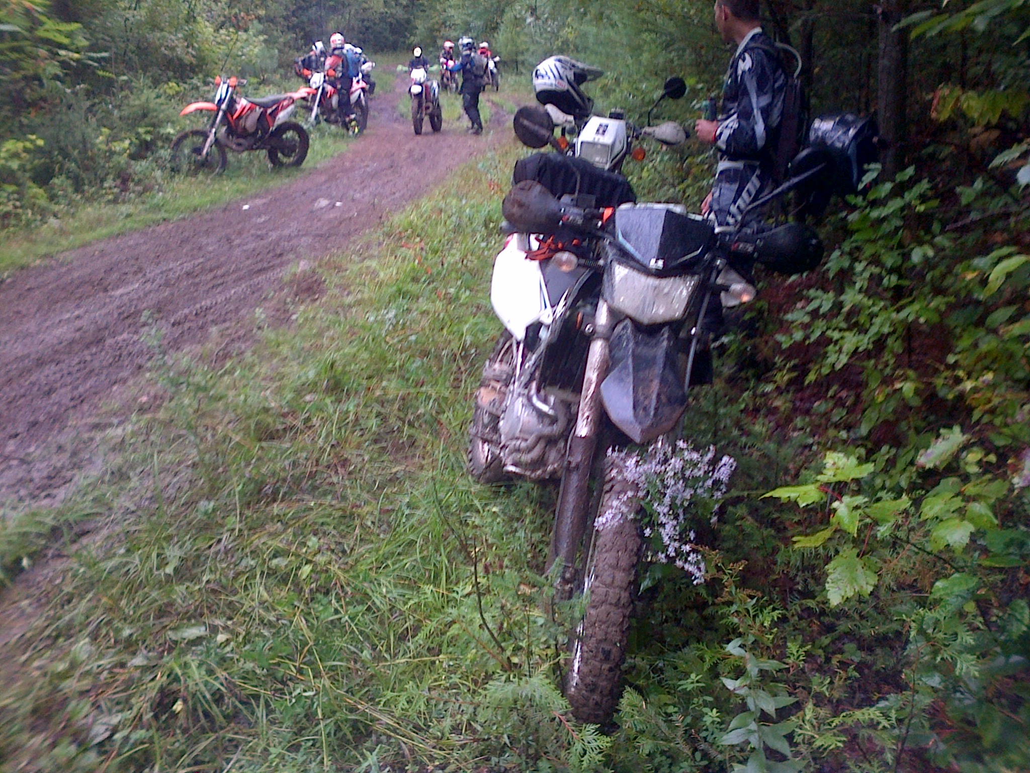 Photo 2772768