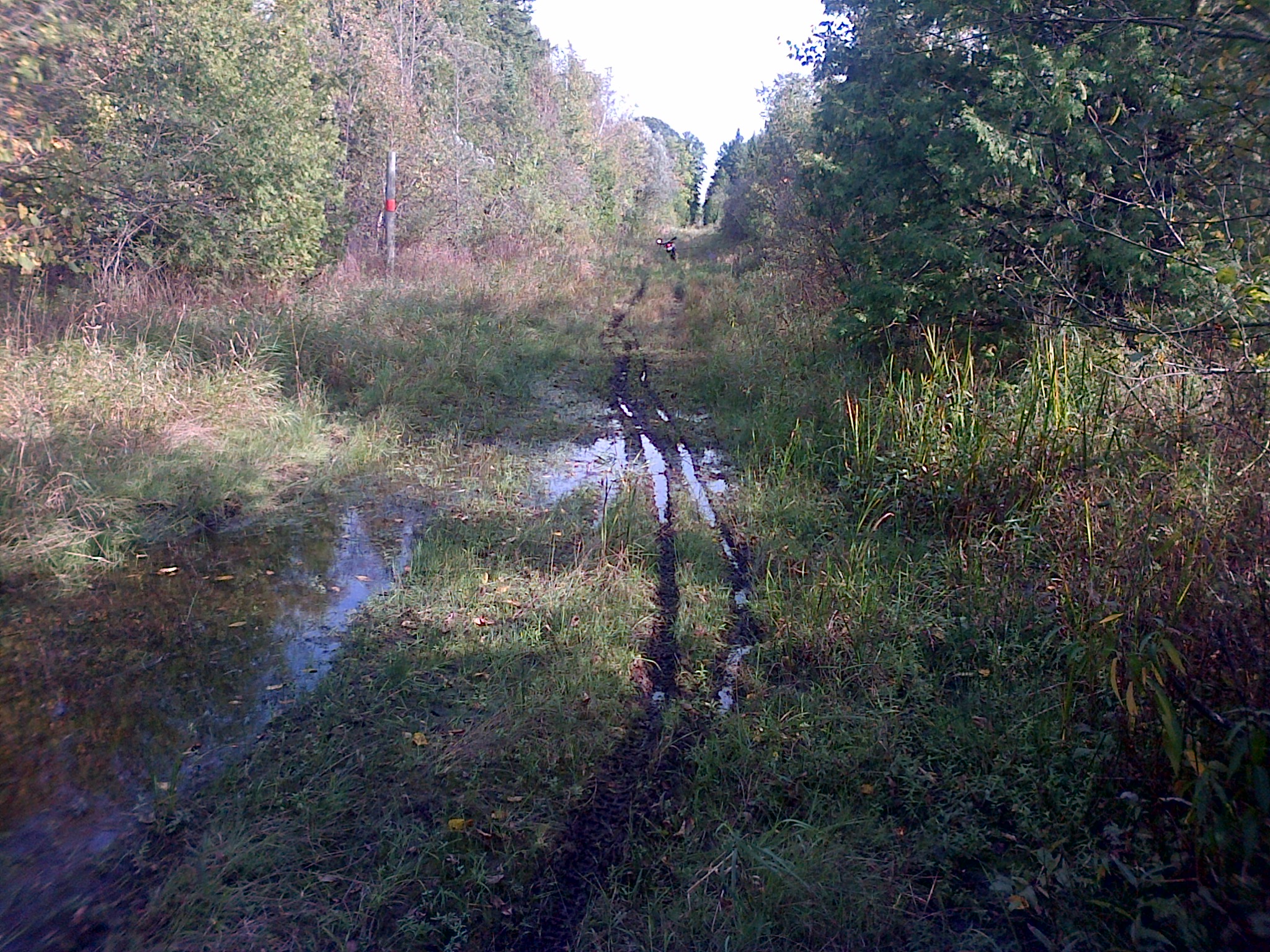 Photo 2772770