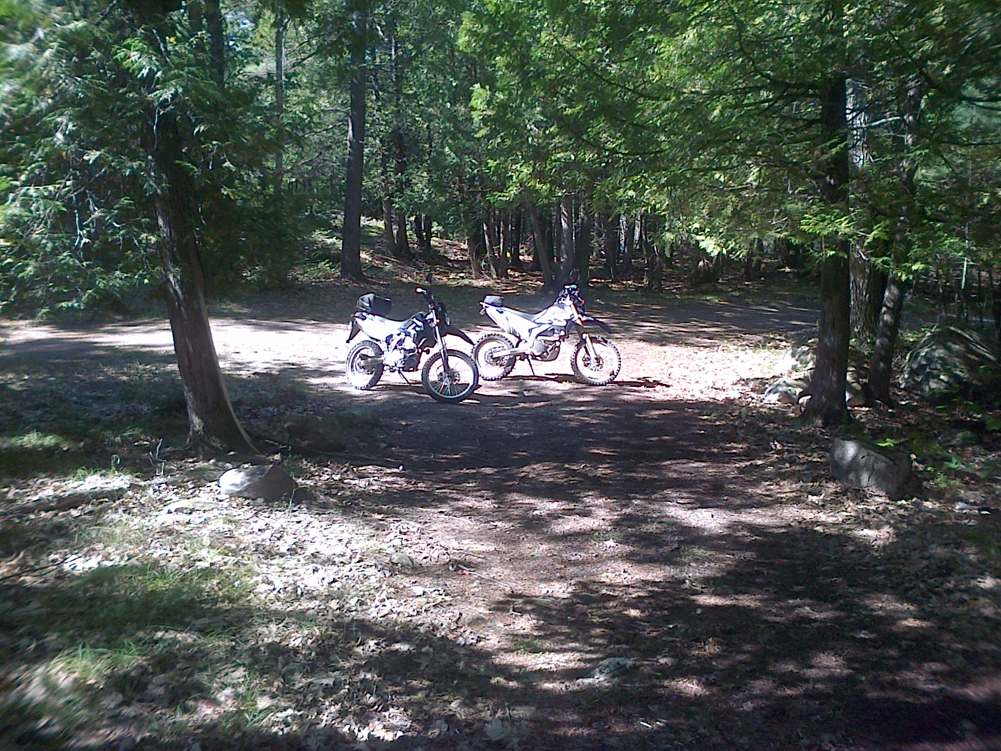 Photo 2772771