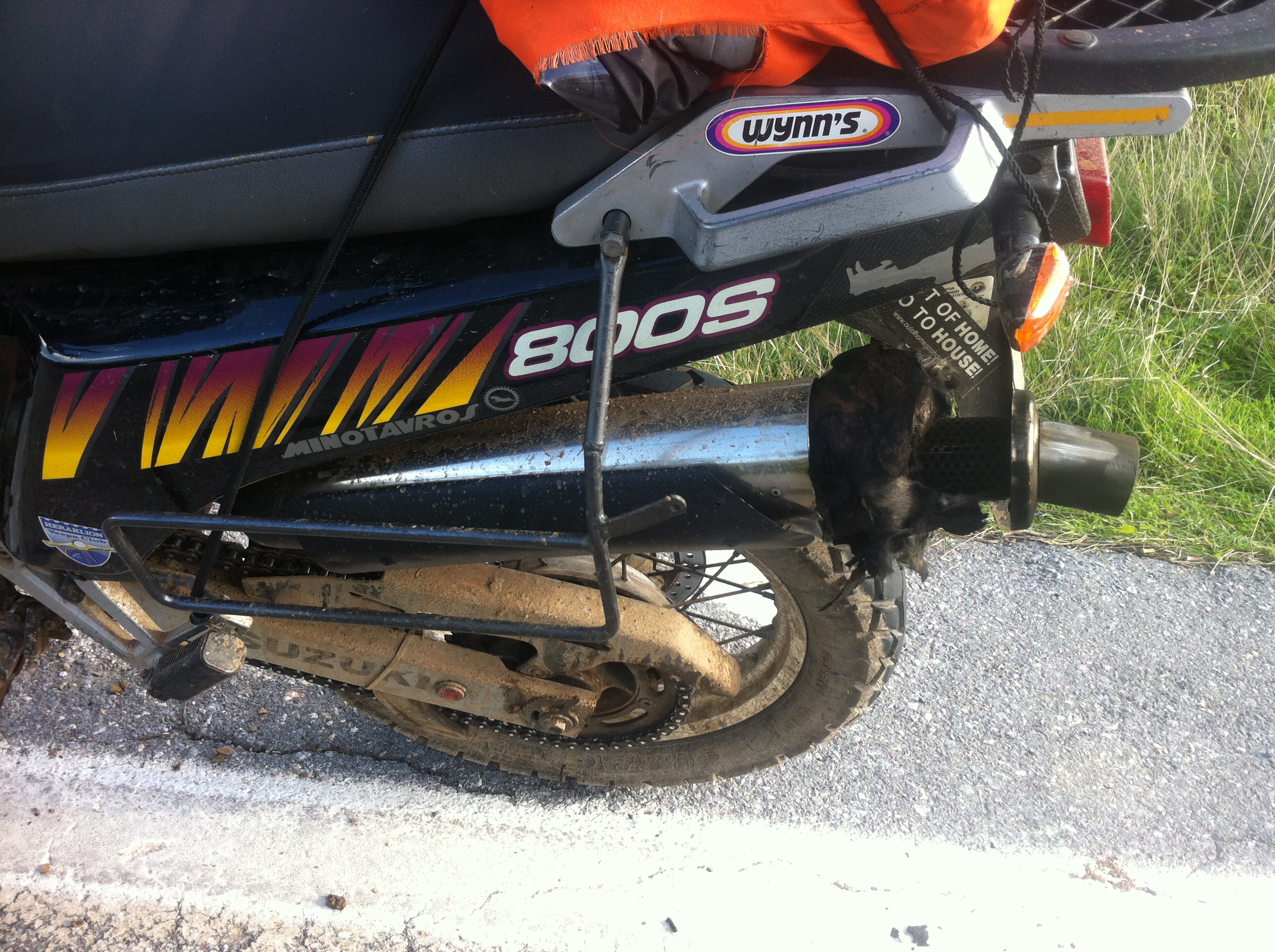 Photo 2772806