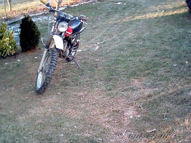 Photo 277296