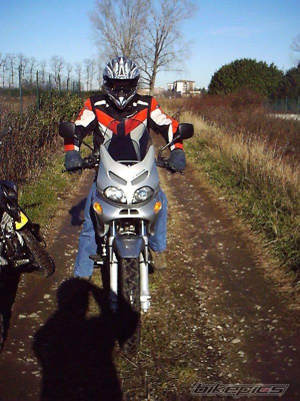 Photo 277300