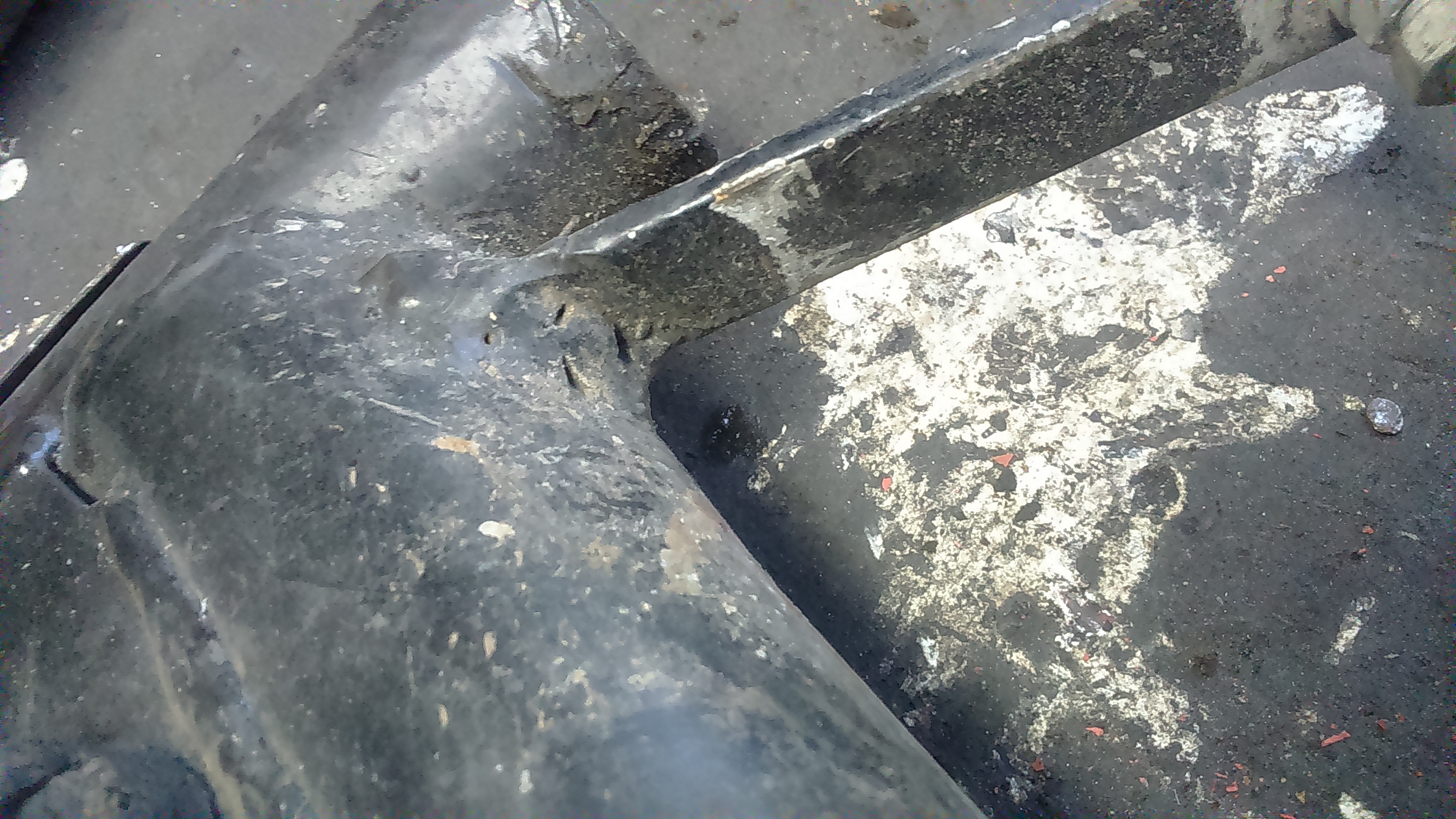 Photo 2773009