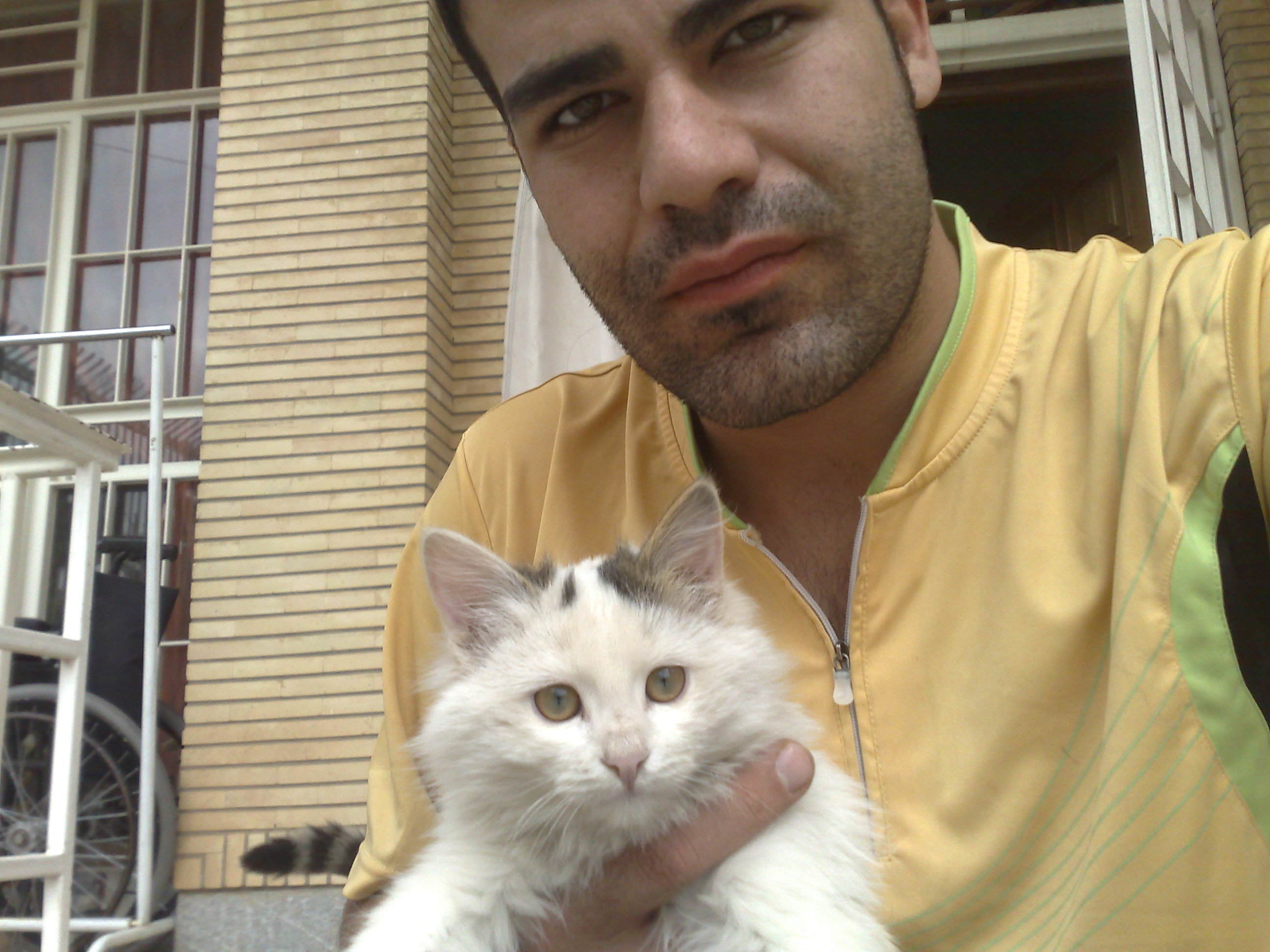Photo 2773088