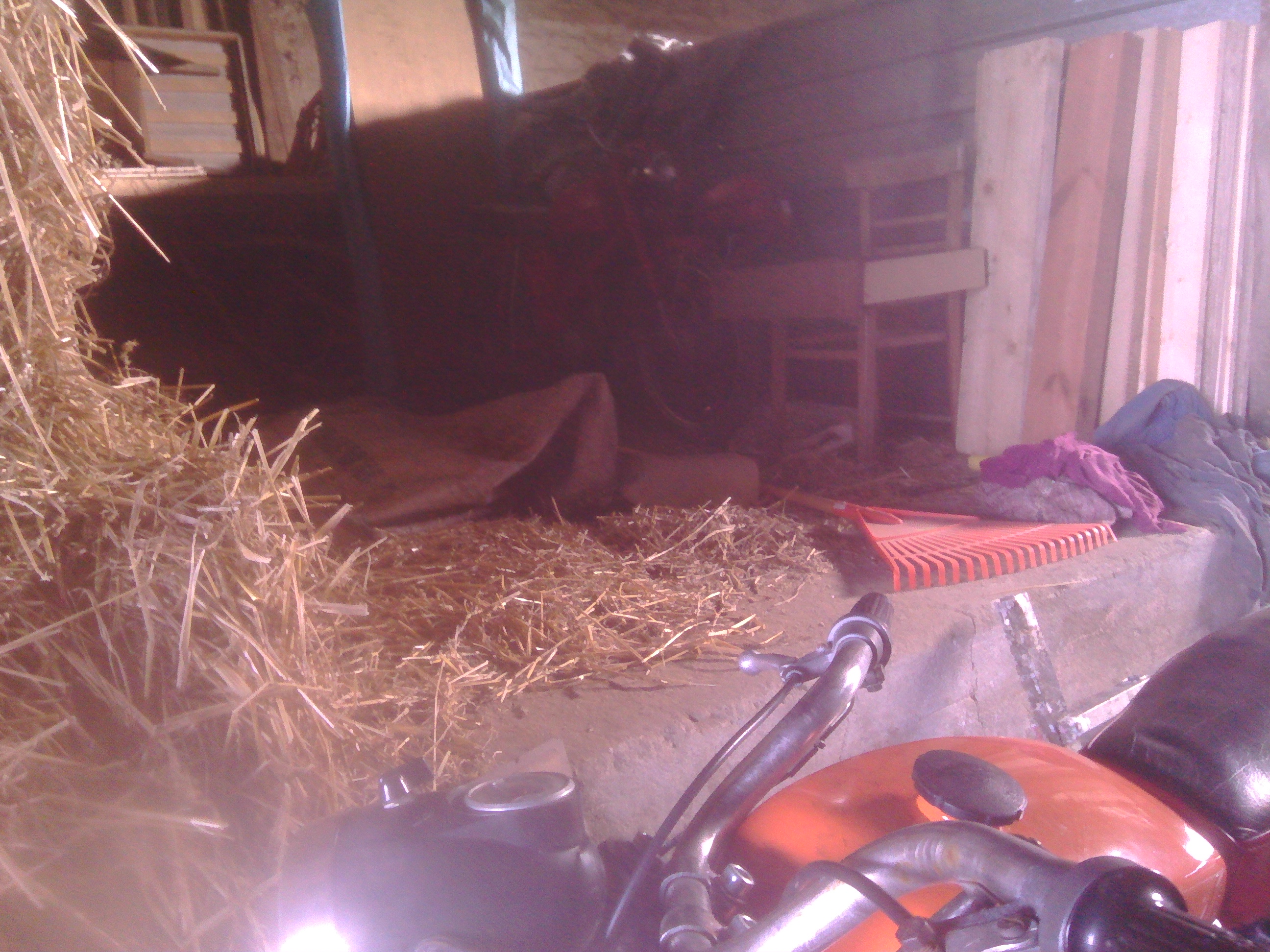 Photo 2773269