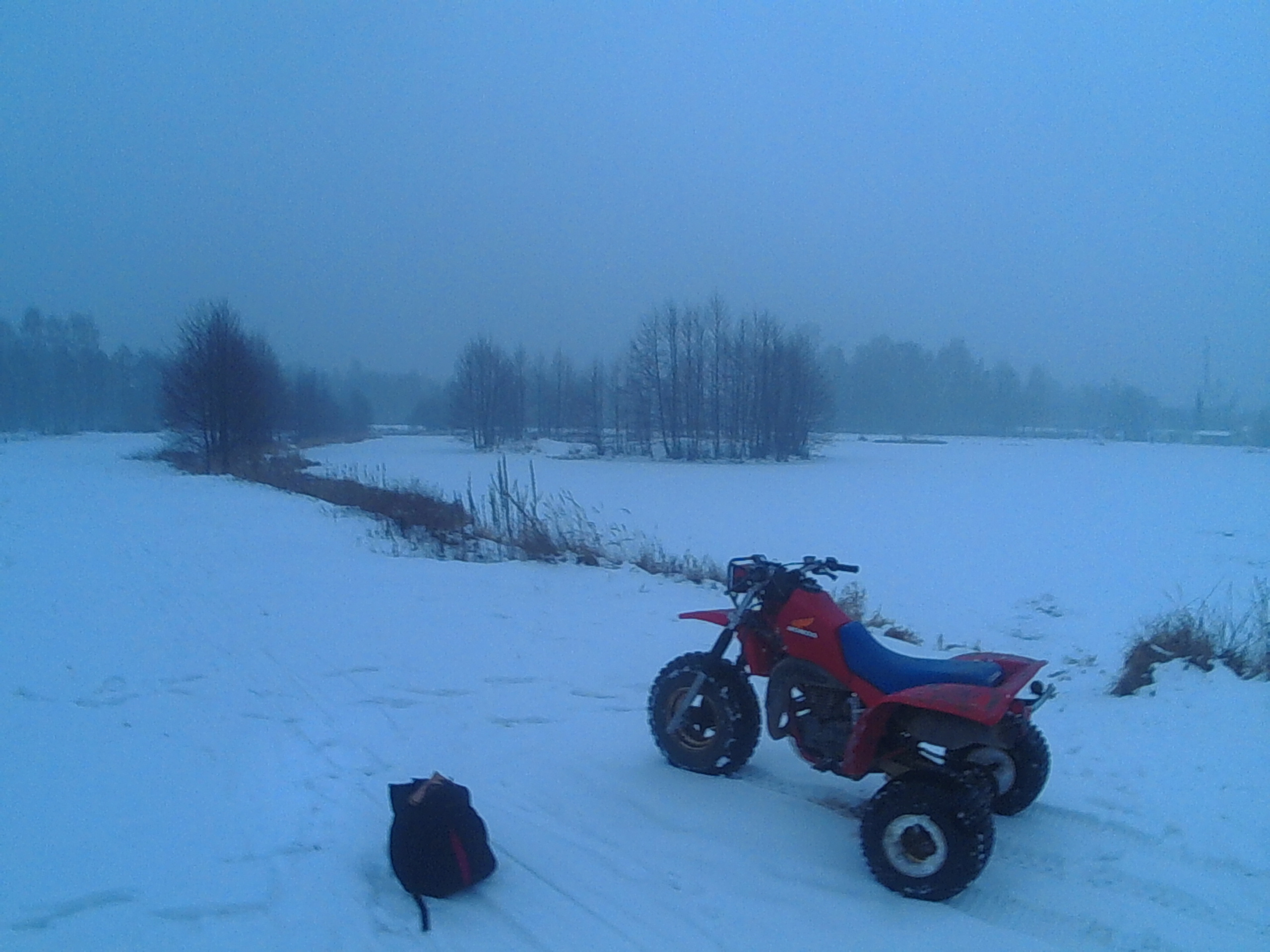 Photo 2773310