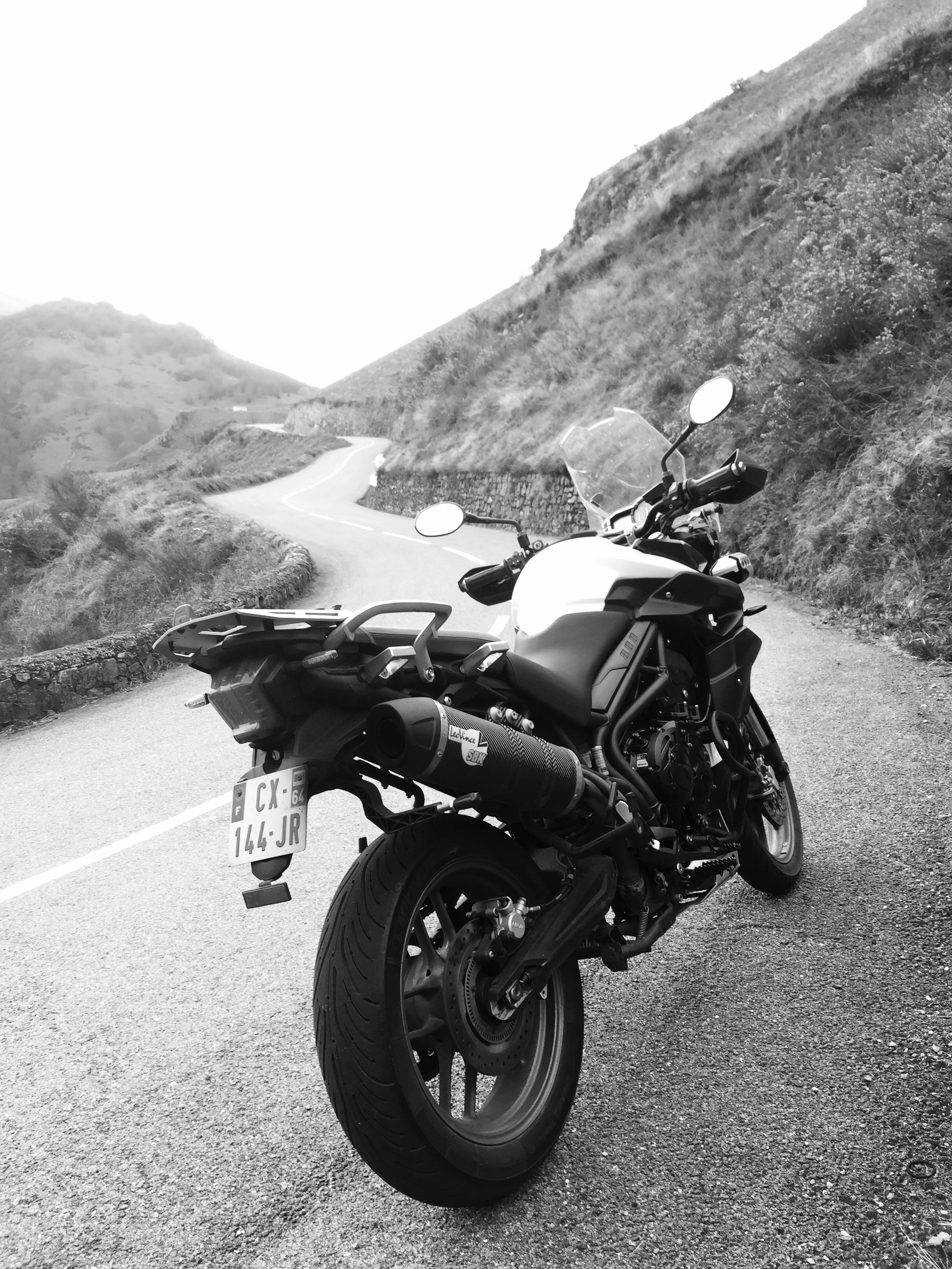 Photo 2773365