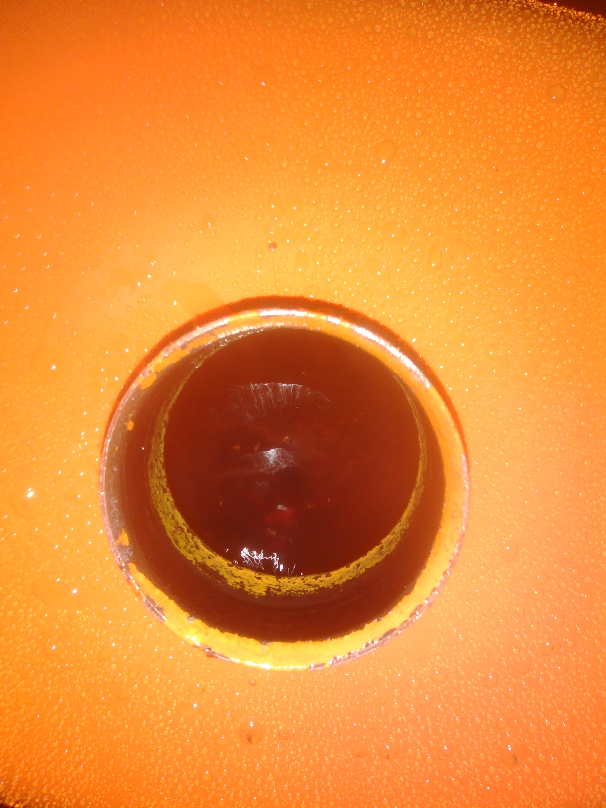 Photo 2773375