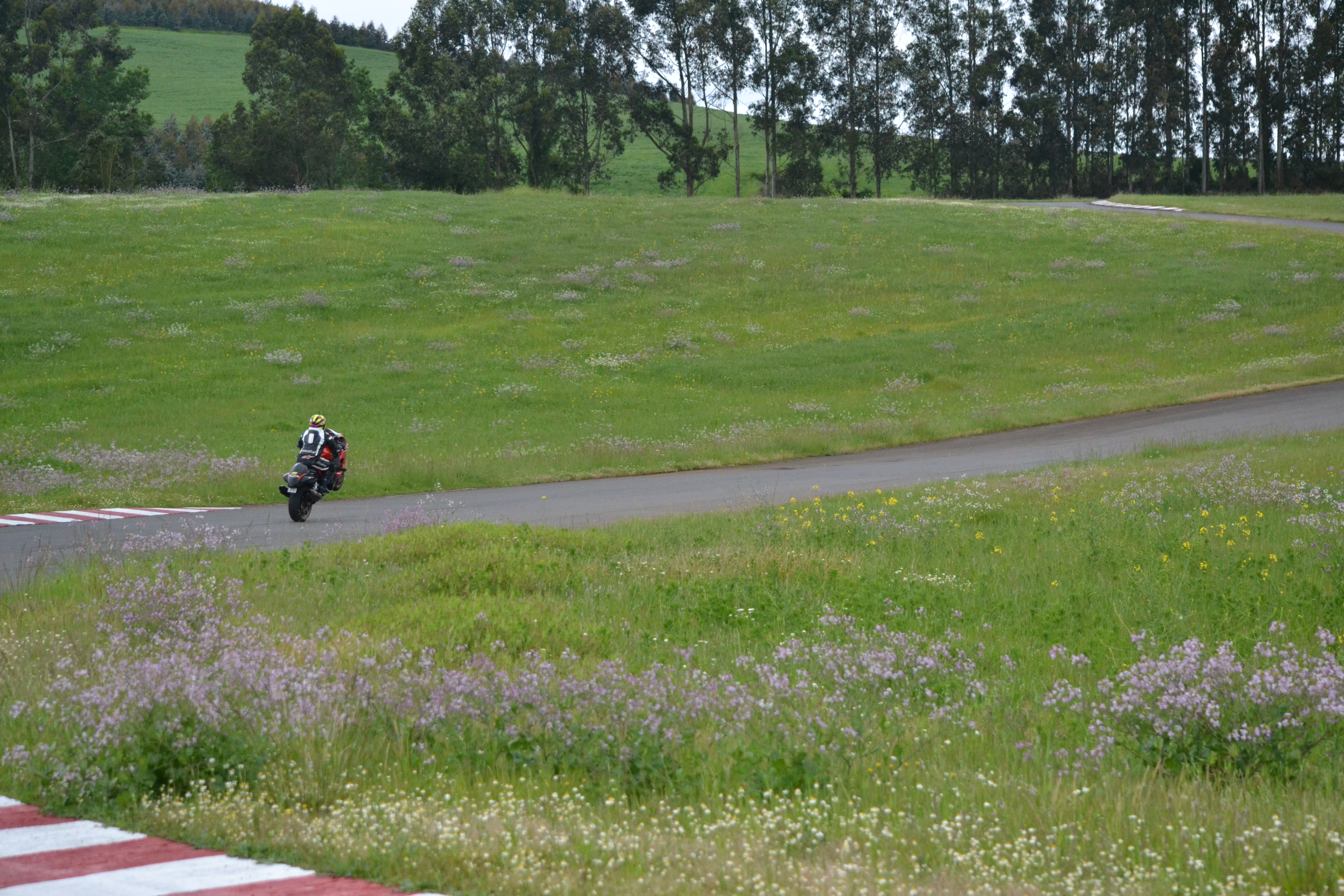 Bike Photo 2773407
