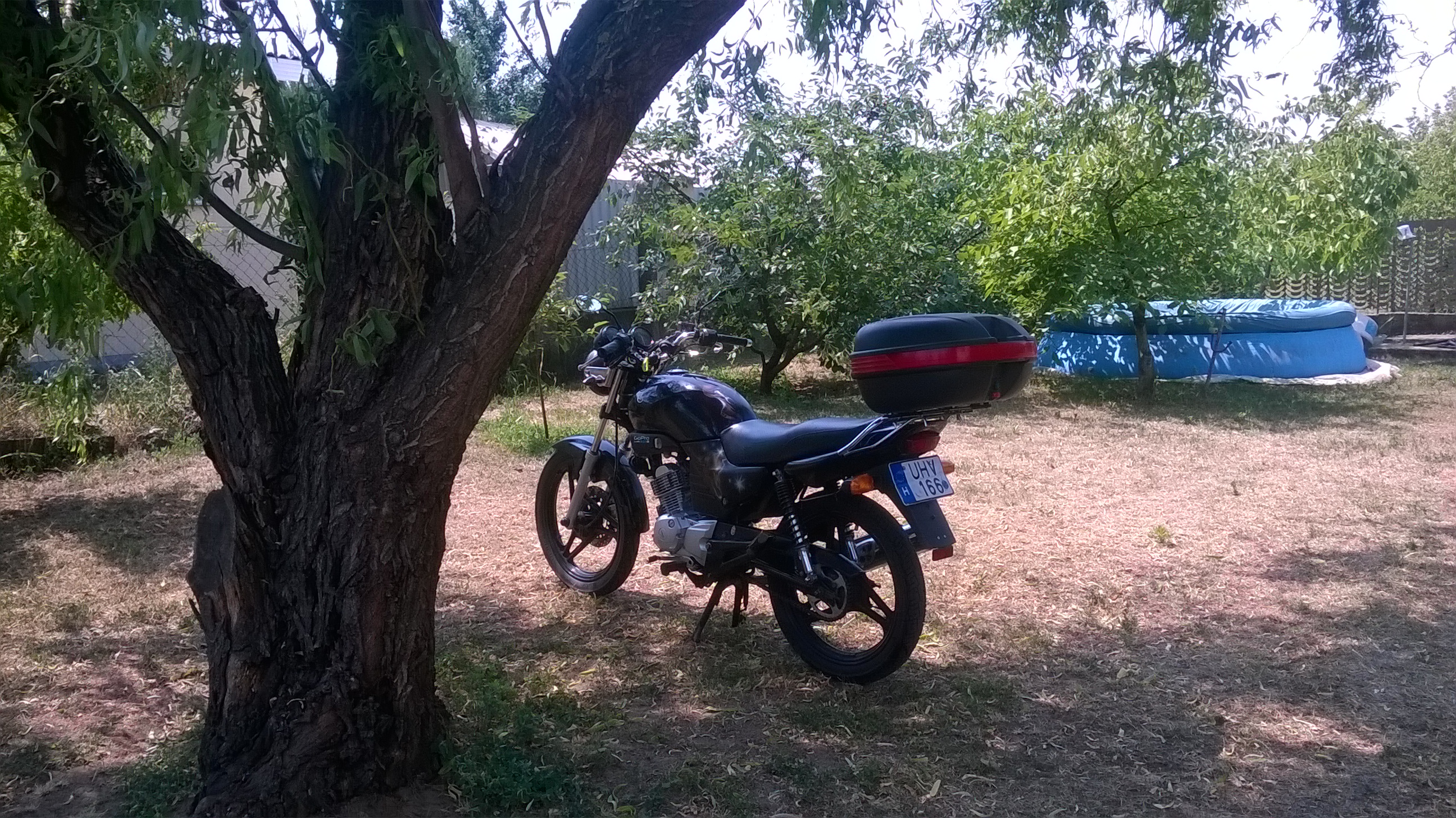 Photo 2773431