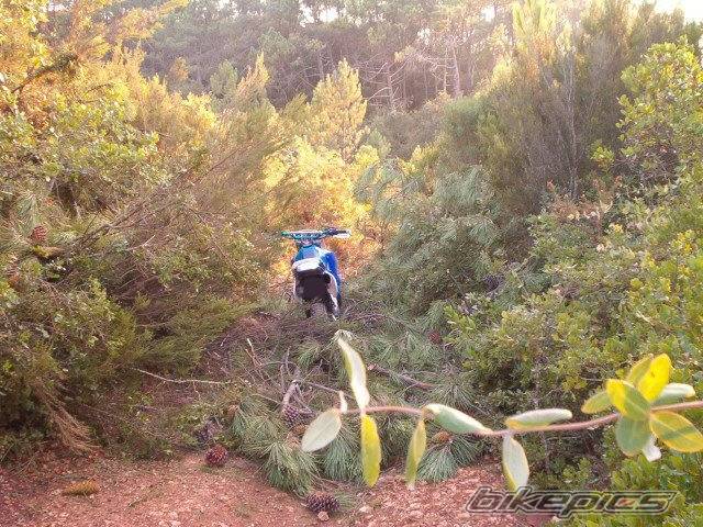Bike Photo 277345