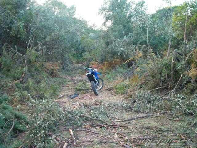 Bike Photo 277347