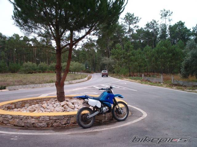 Bike Photo 277356