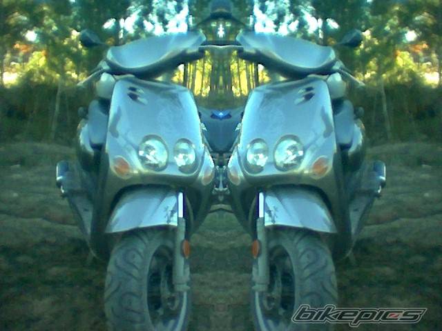 Photo 277366
