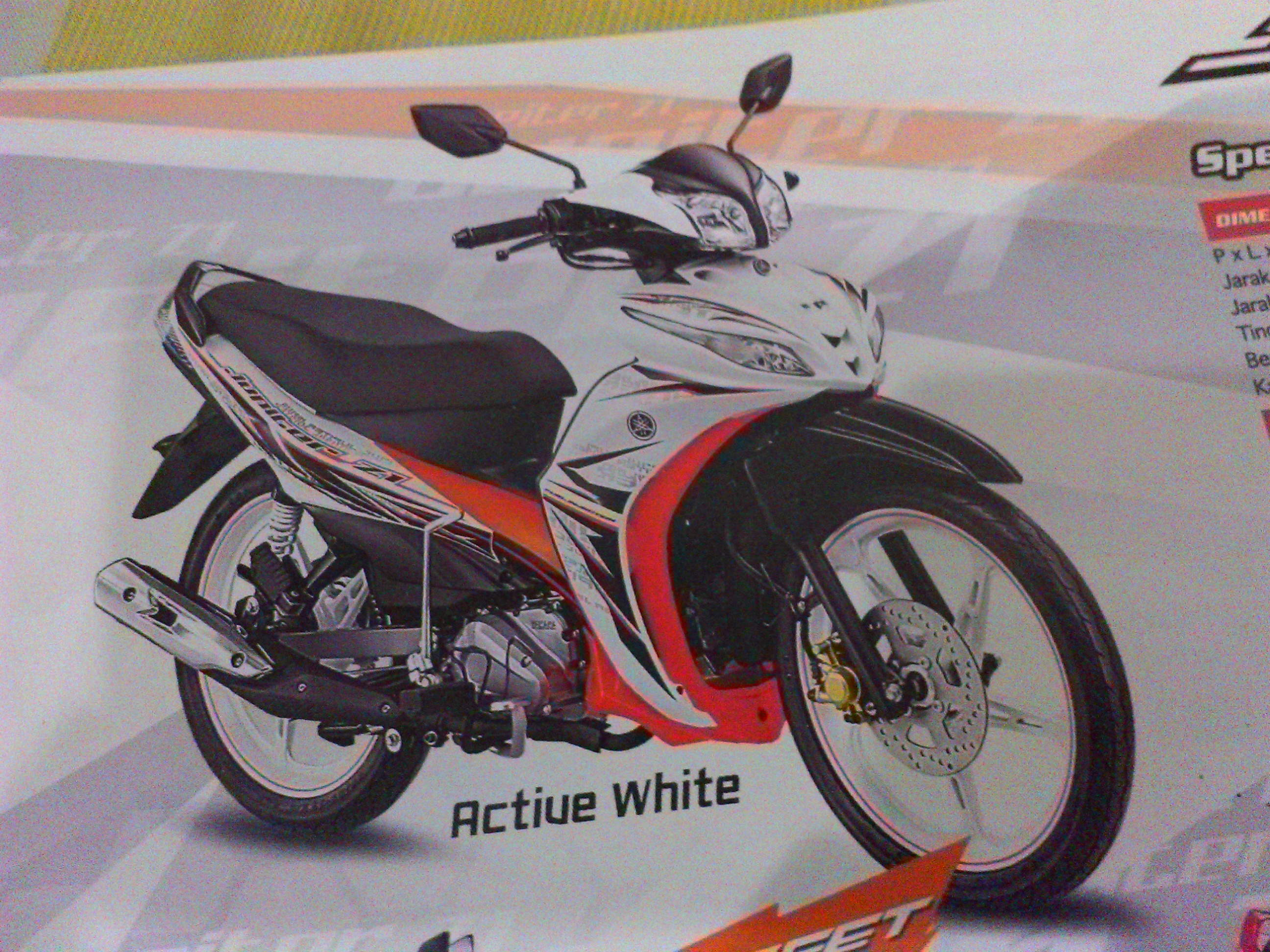 Photo 2773722
