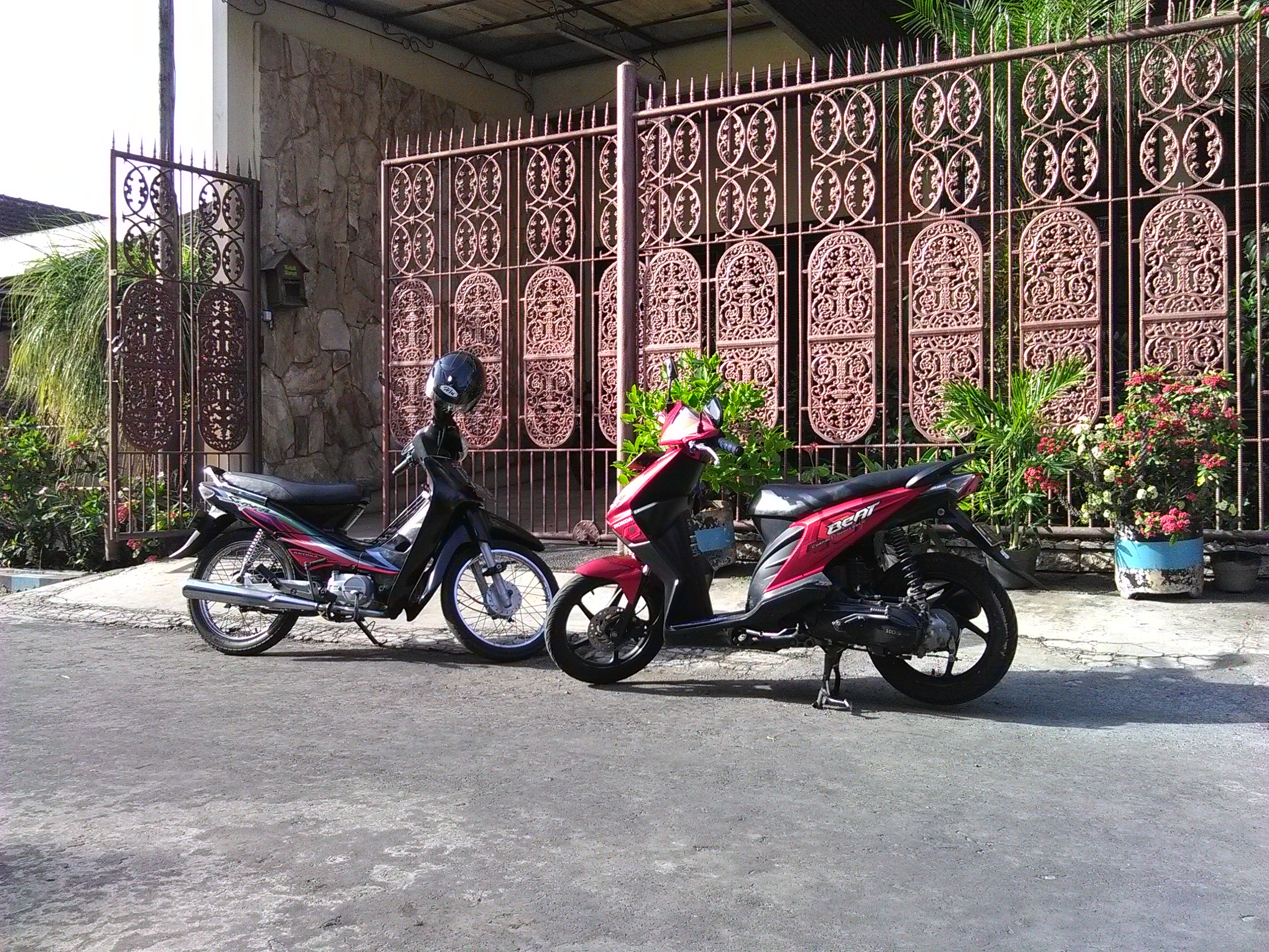 Photo 2773885