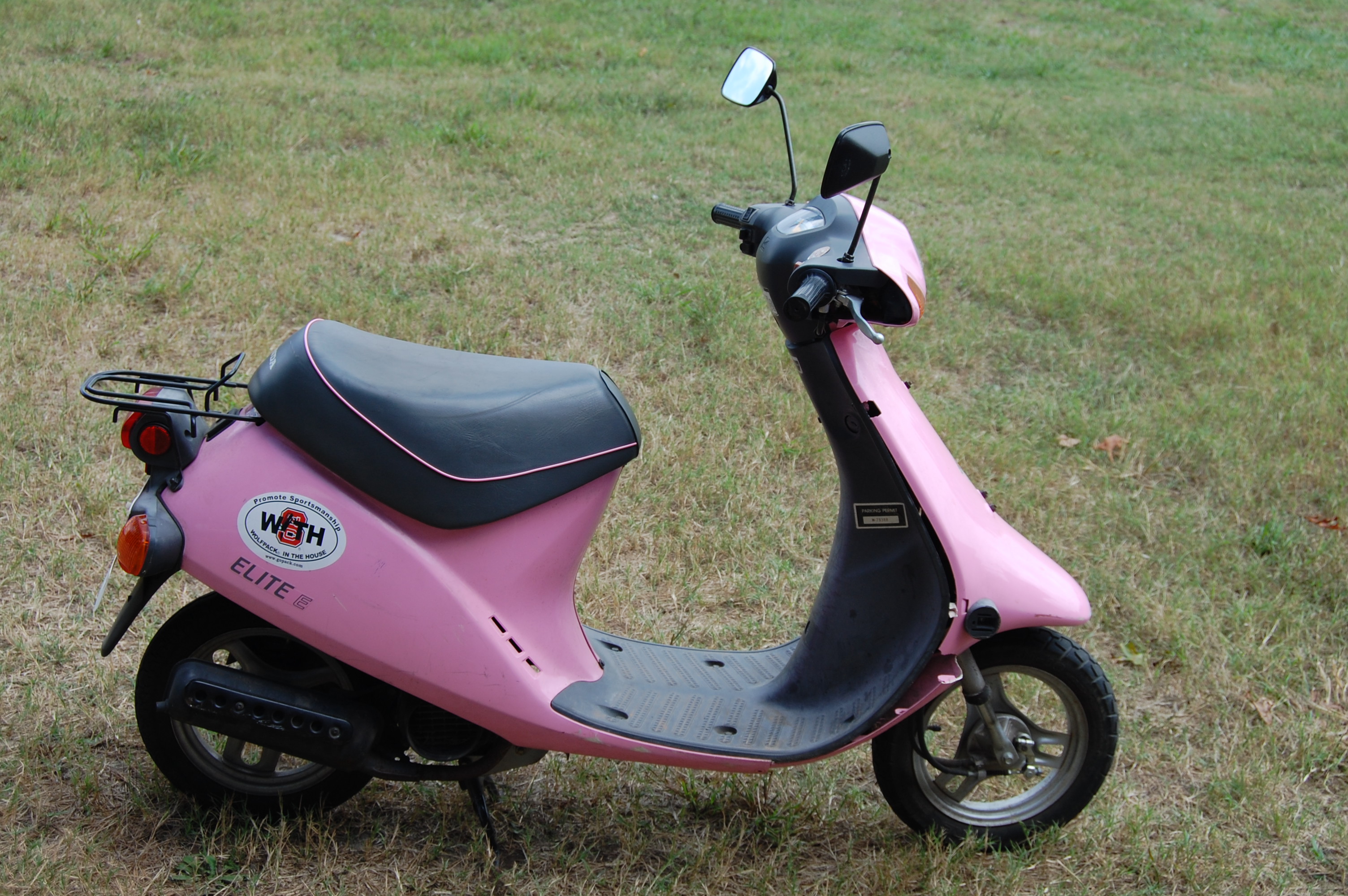 Photo 2773893