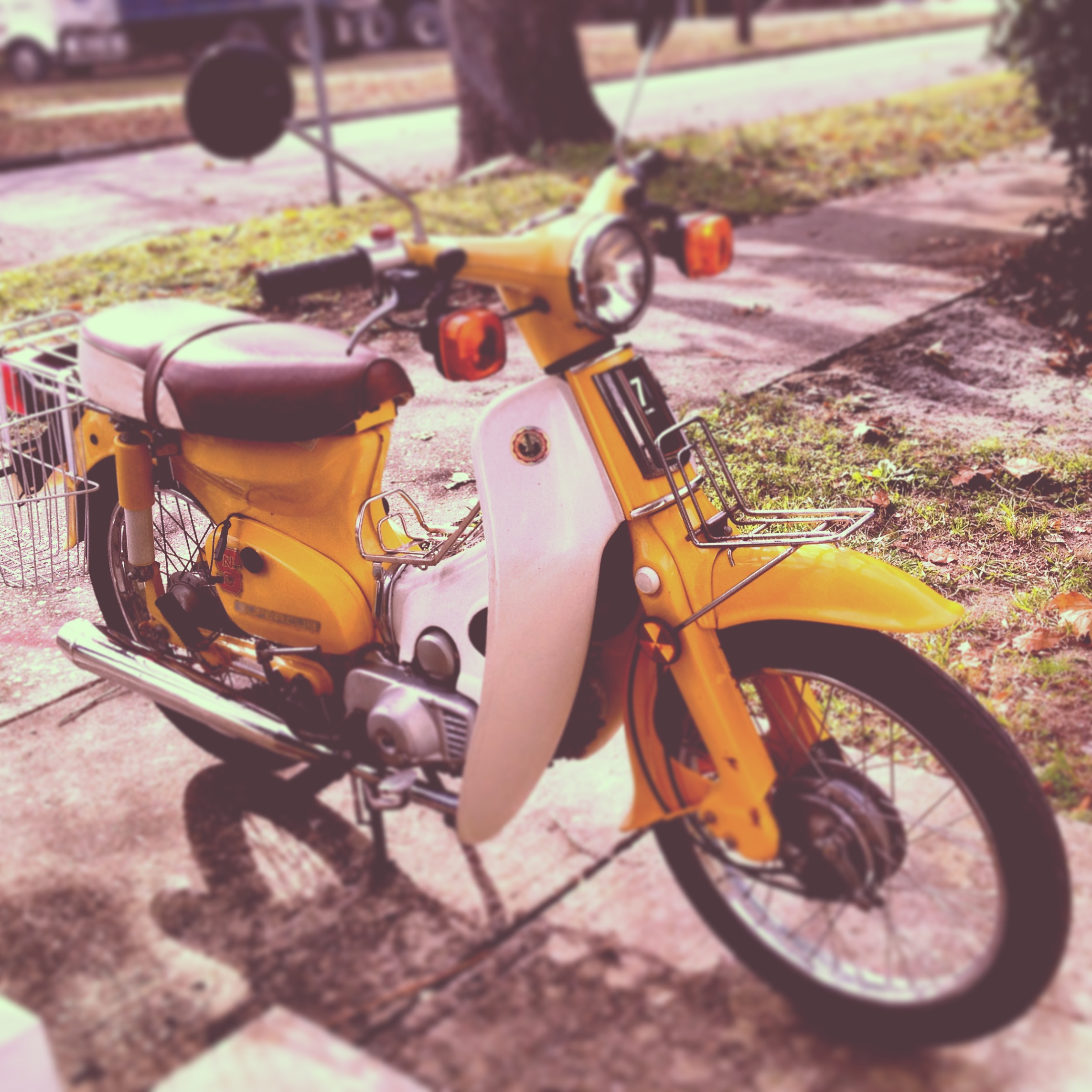 Photo 2773897