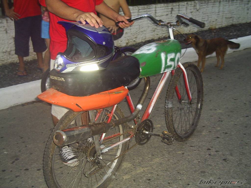 Photo 277391
