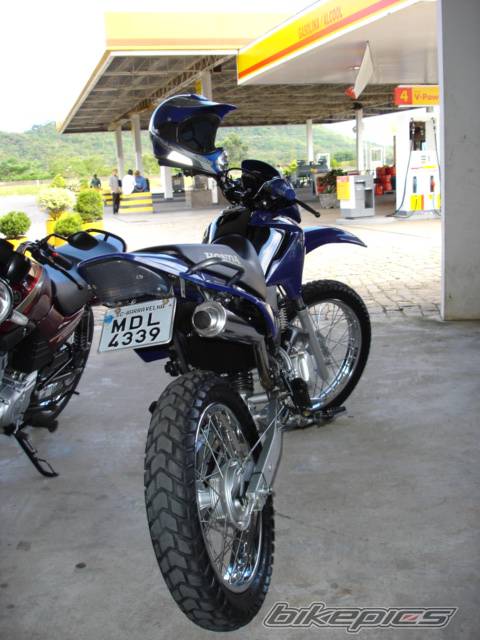 Photo 277394