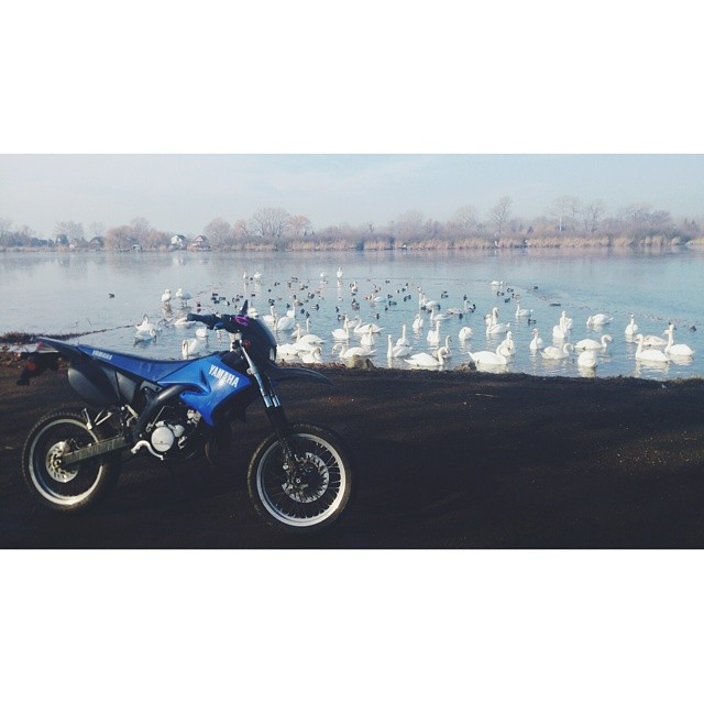 Photo 2773942