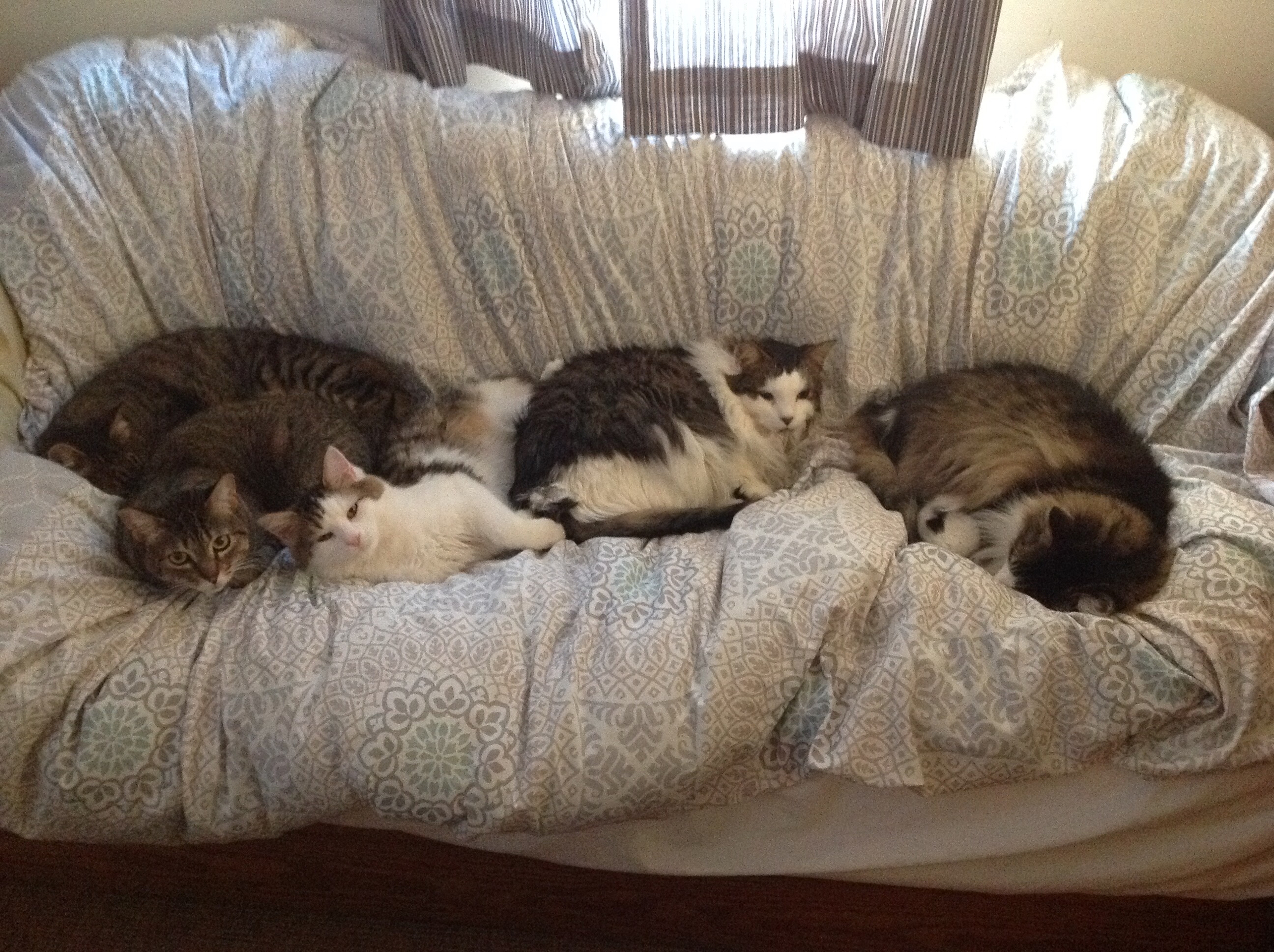 Photo 2774155