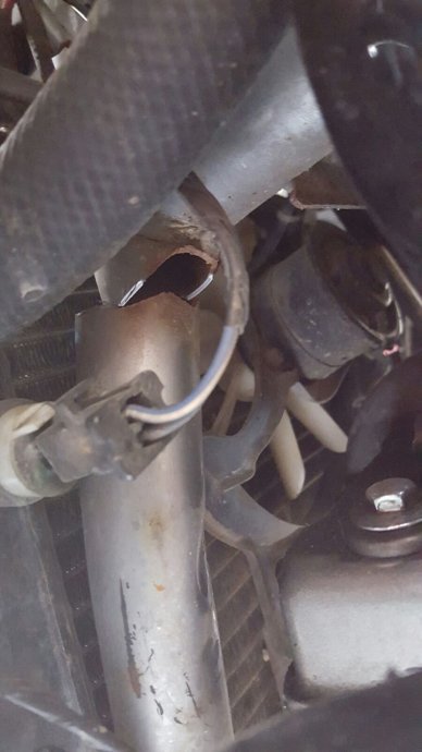 Photo 2774173