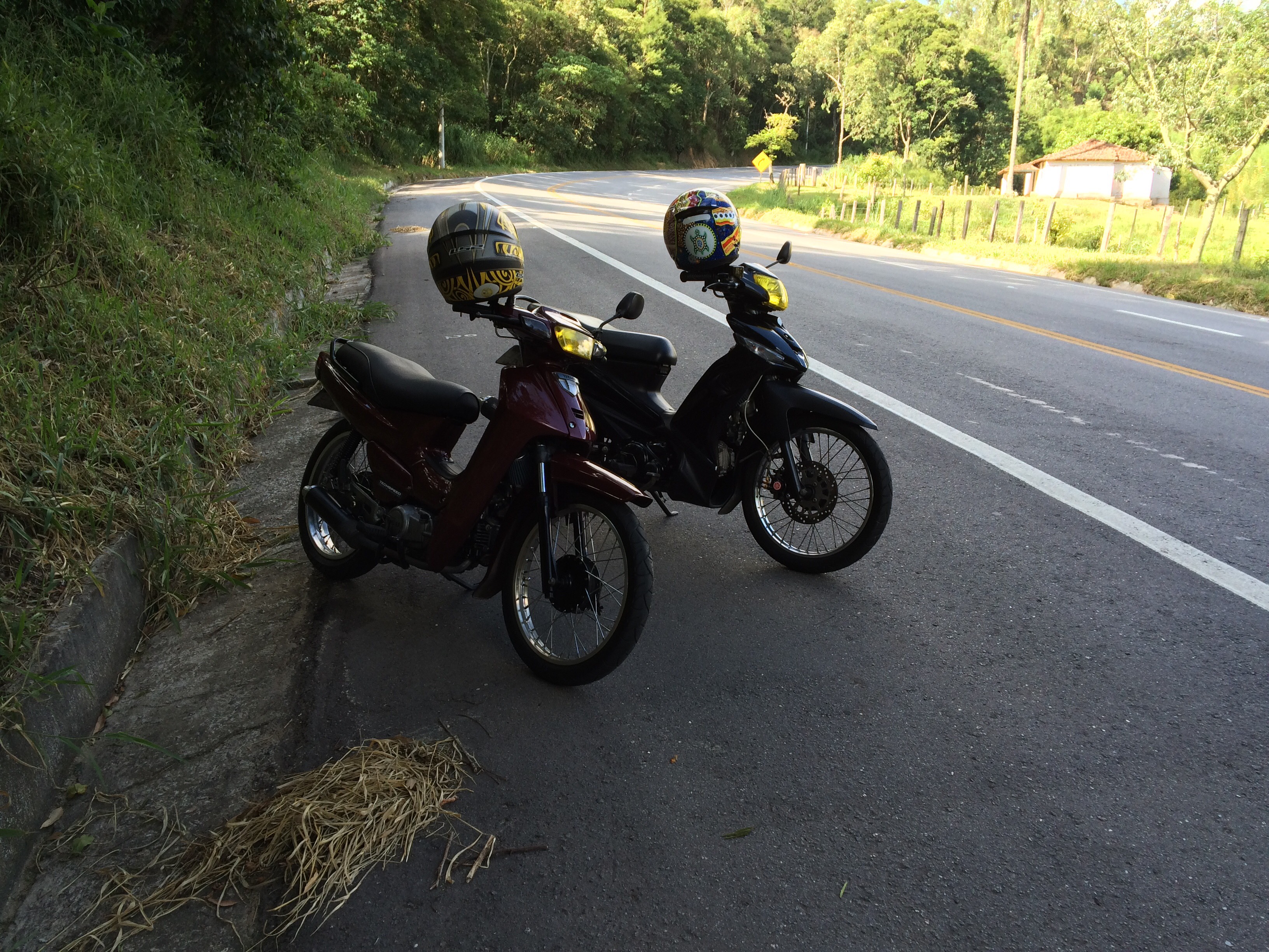 Photo 2774186