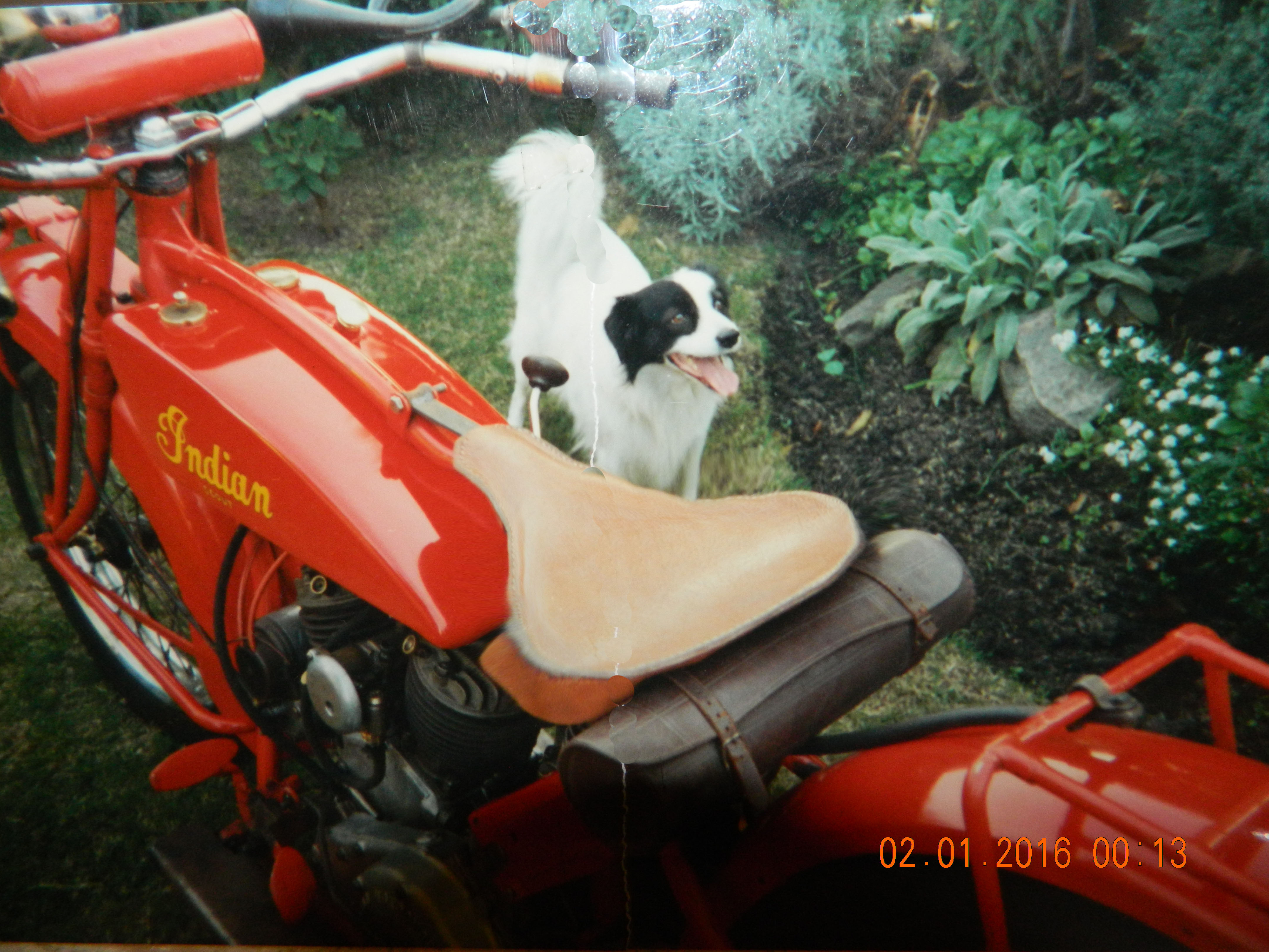 Photo 2774191