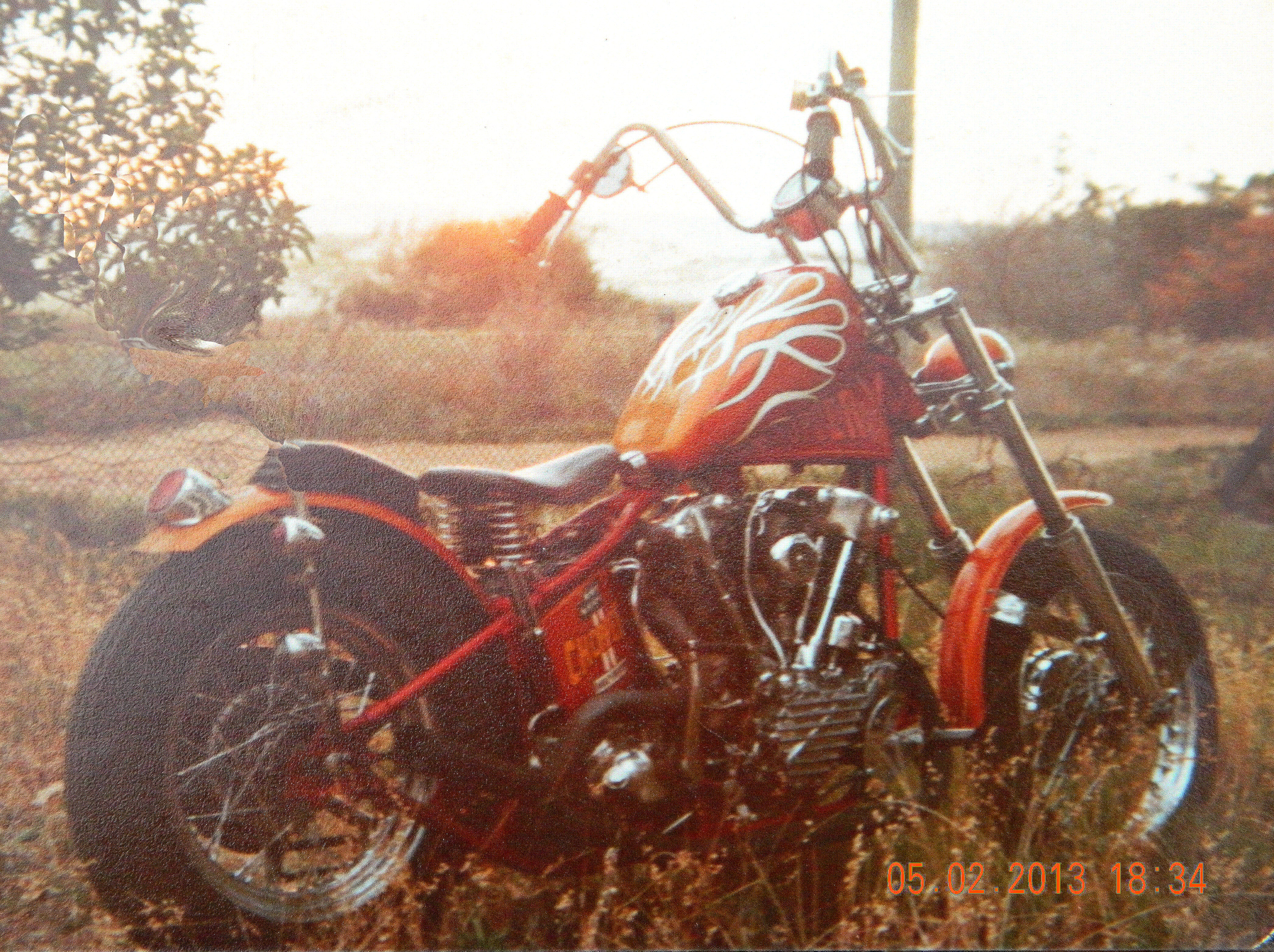 Photo 2774199